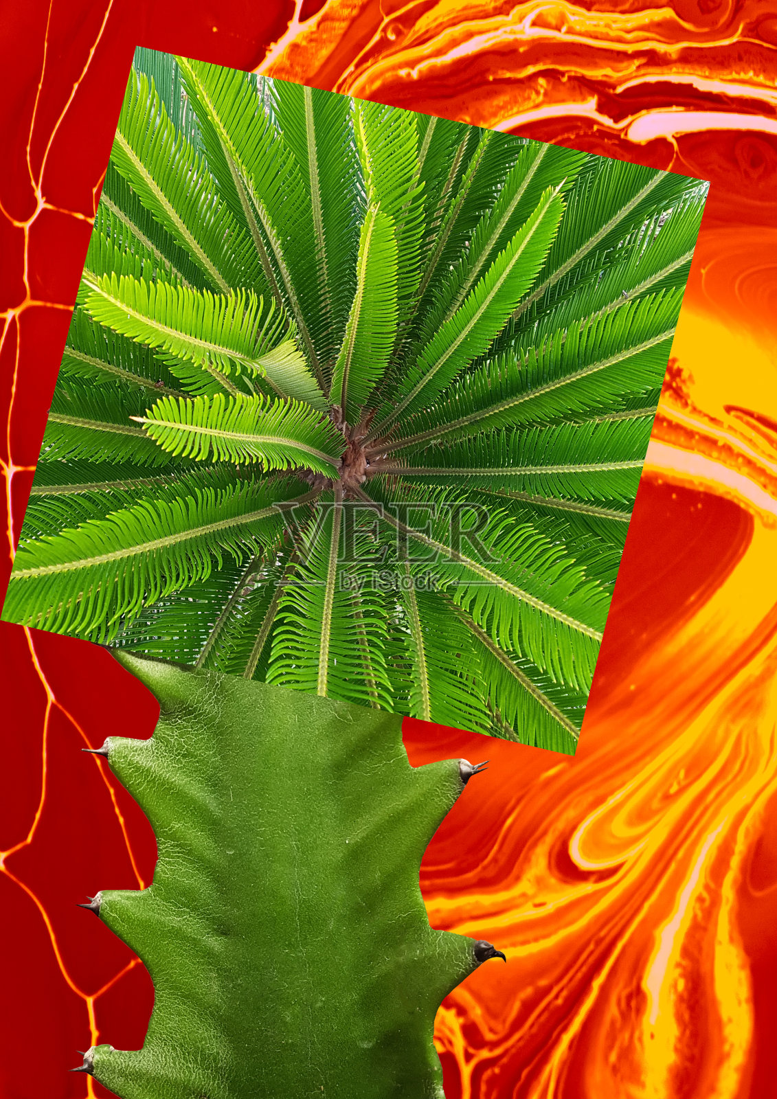 当代拼贴。抽象的棕榈树在明亮的火橙色背景。夏天的概念，热，火。照片摄影图片