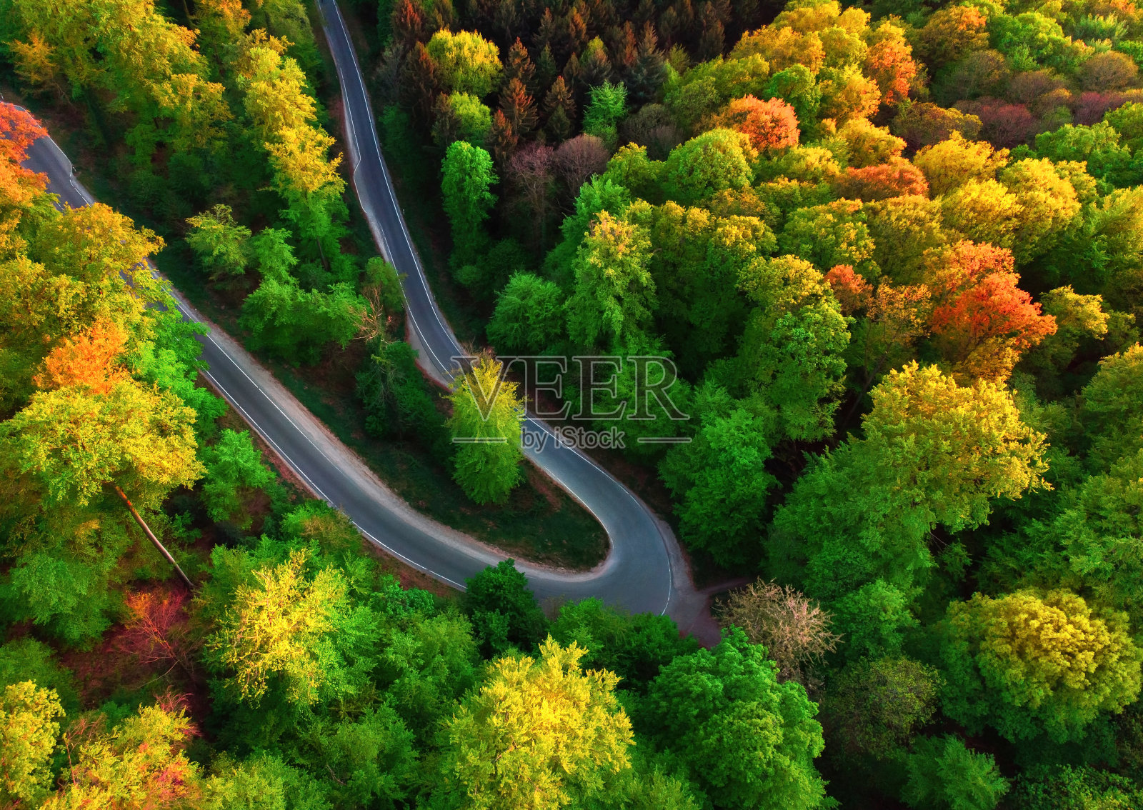 鸟瞰图的道路弯曲在一个彩色的森林照片摄影图片