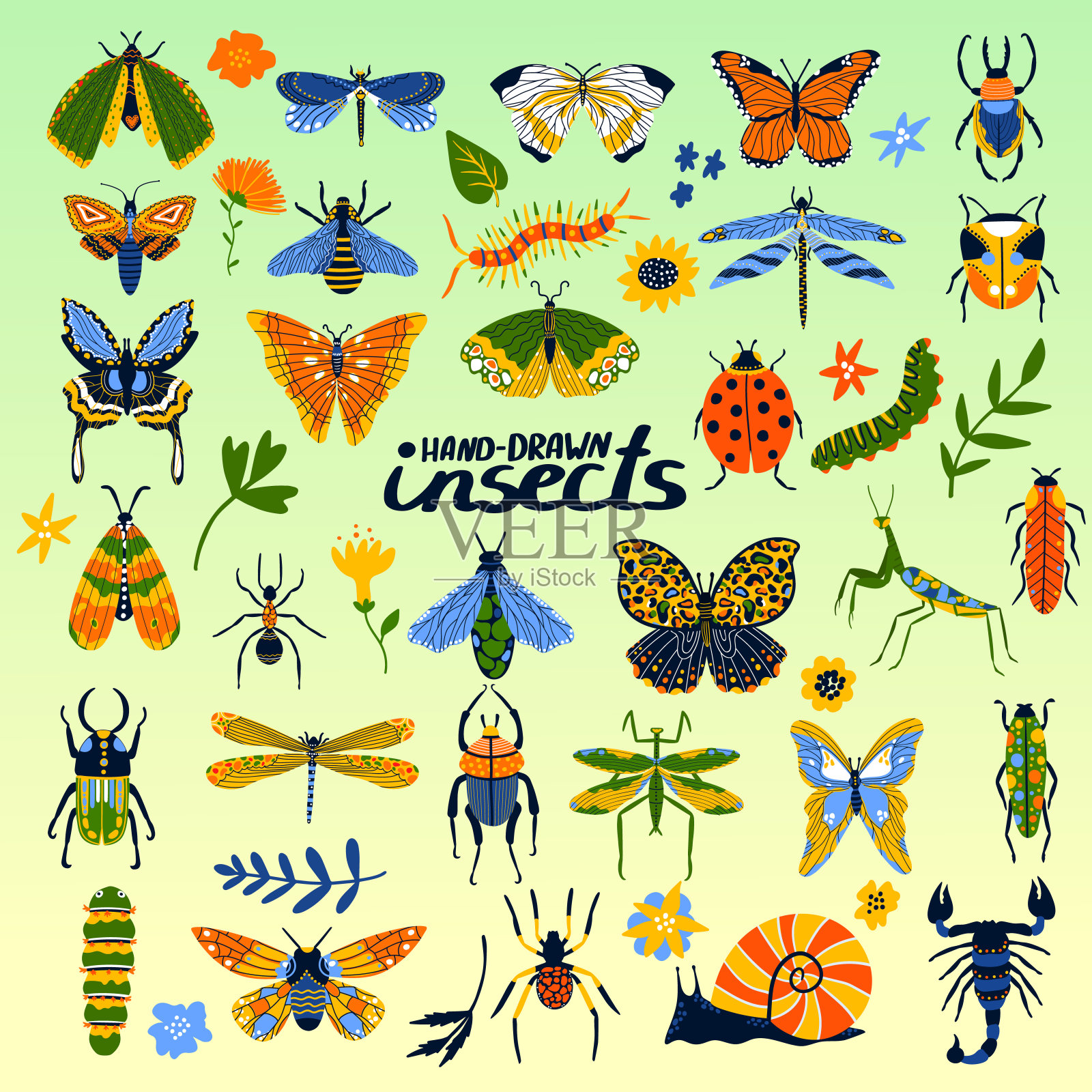 昆虫收集甲虫，蜜蜂，瓢虫，蝴蝶和昆虫的卡通海报载体插图。插画图片素材