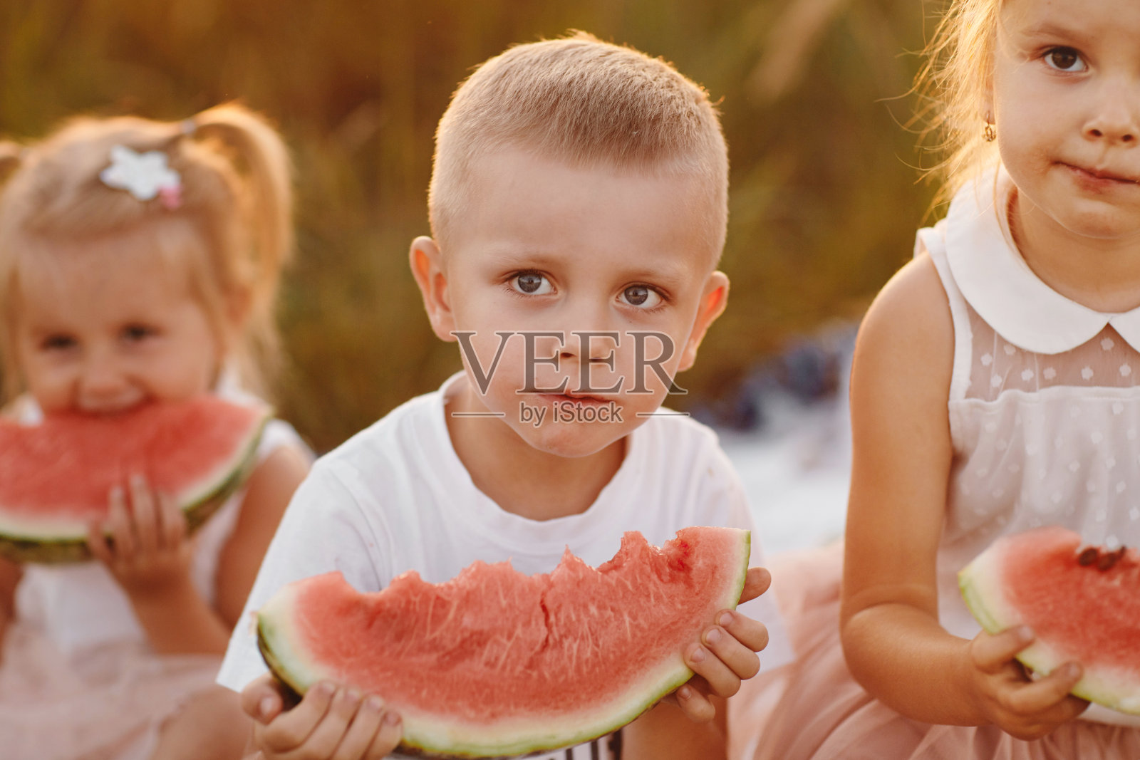 快乐的孩子们在夏天日落的田野里吃西瓜。夏季野餐。快乐的童年。有选择性的重点。照片摄影图片