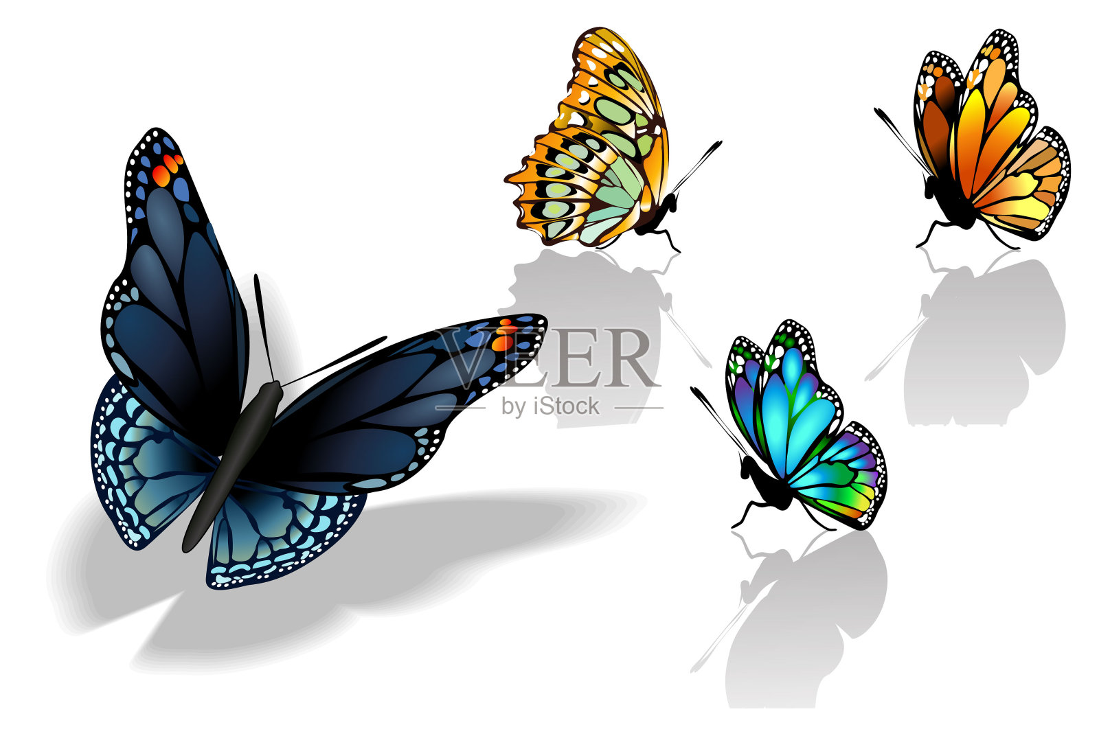 一套多彩的现实孤立的蝴蝶。设计元素图片