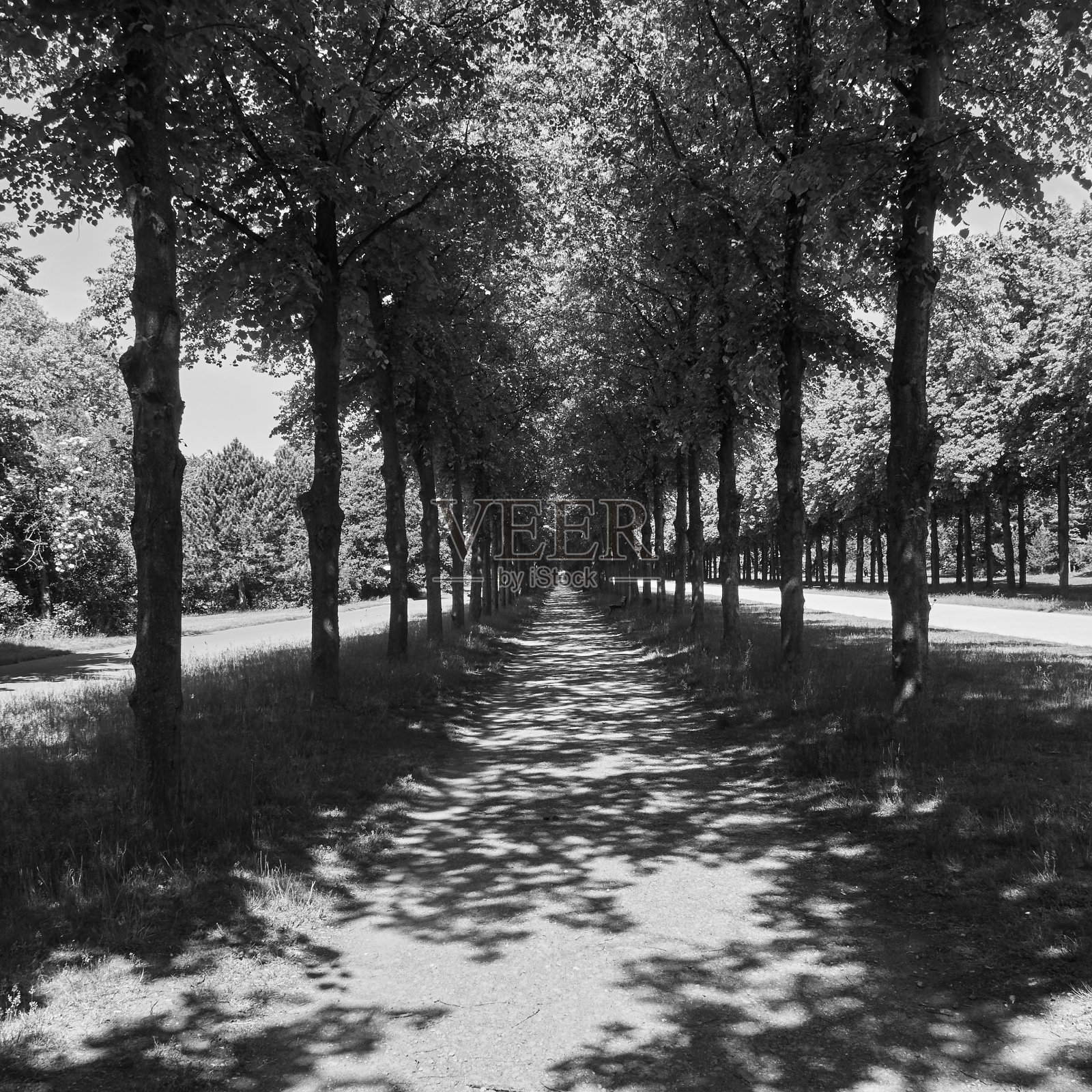 长长的笔直的林间小路和一条通向地平线尽头的砾石小路，黑白相间照片摄影图片