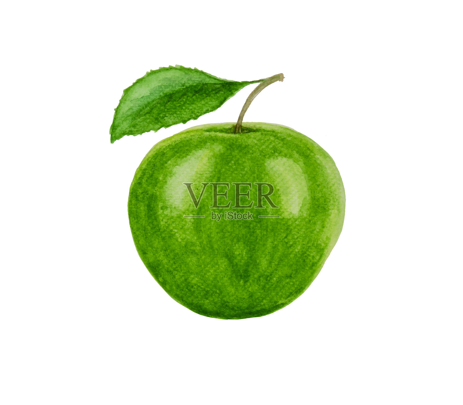 绿苹果水果插图水彩画孤立的白色背景与剪切路径插画图片素材