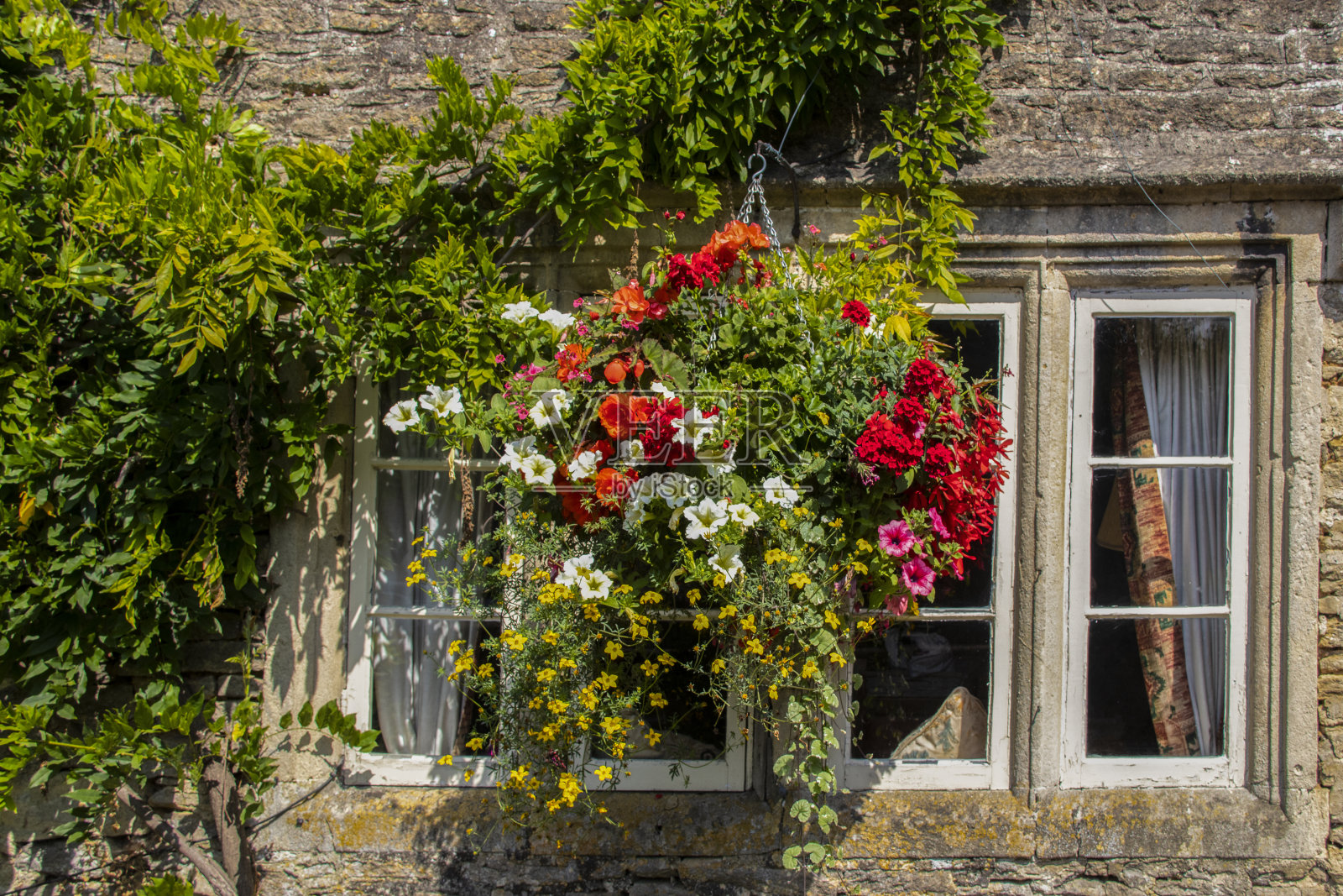 古色古香的石屋窗外挂着美丽的花朵，四周是藤蔓照片摄影图片