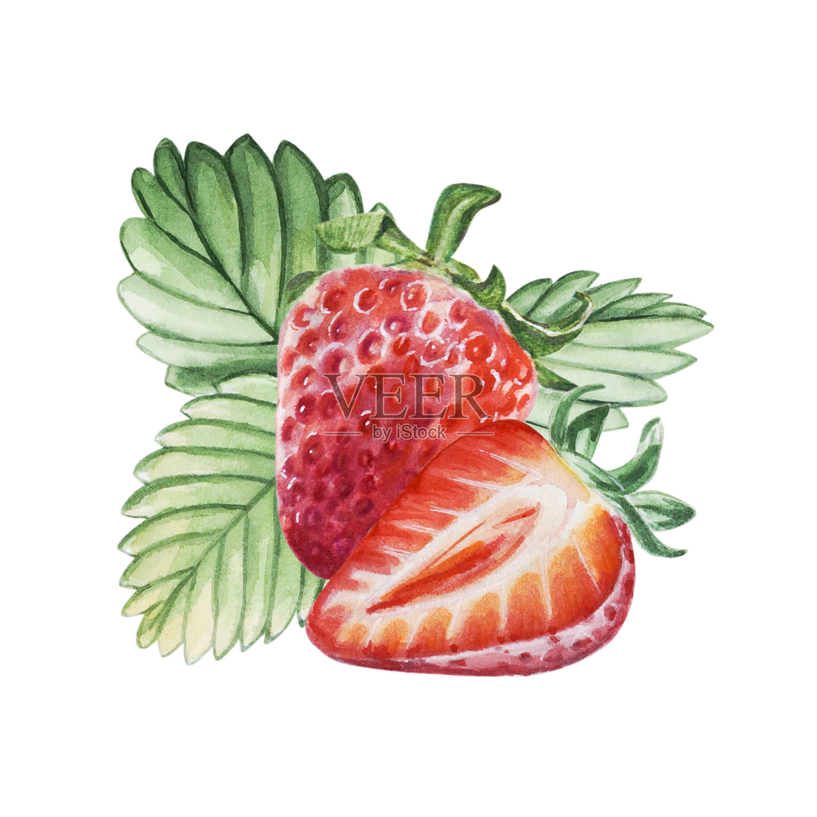 水彩红色多汁草莓，半浆果半叶子。手绘食品标志插图。水果打印。插画图片素材