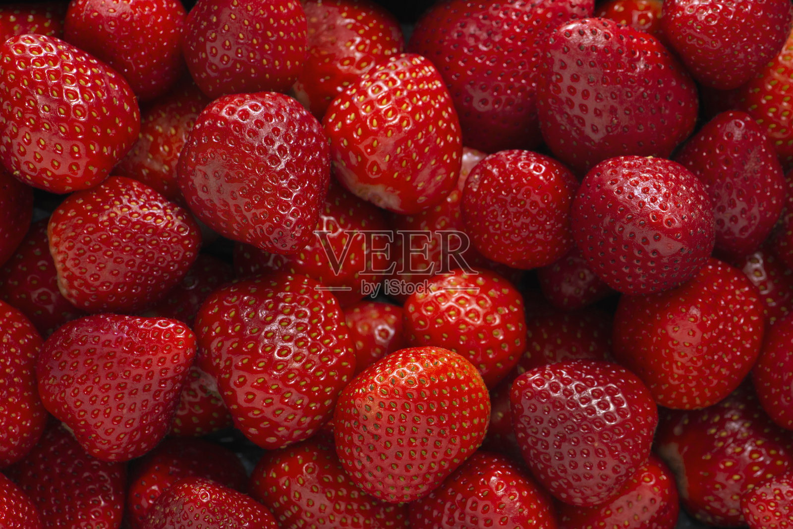 有机新鲜红草莓作物照片摄影图片