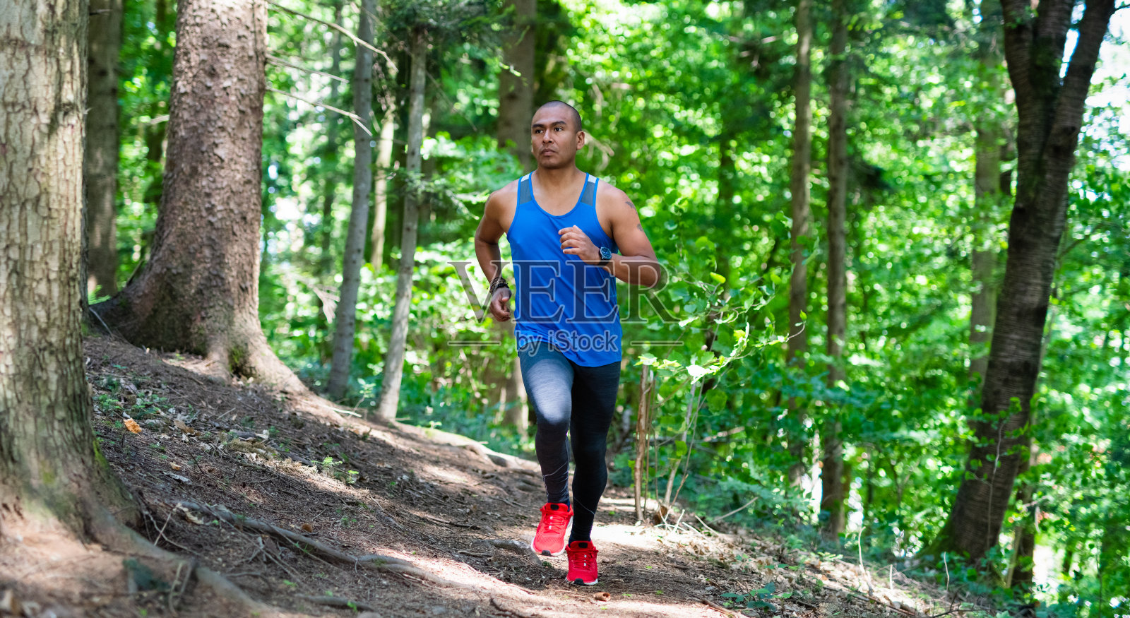 森林里奔跑者的照片照片摄影图片