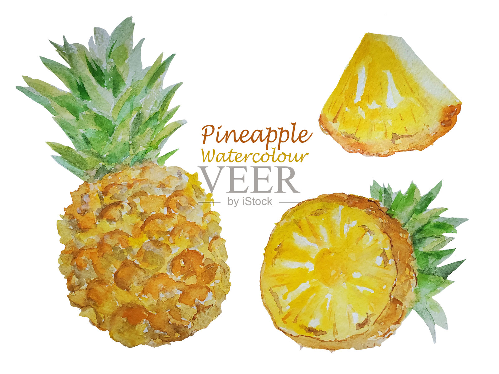水果水彩元素为您的设计。整个大菠萝，切成半片。健康饮食，素食。插画图片素材