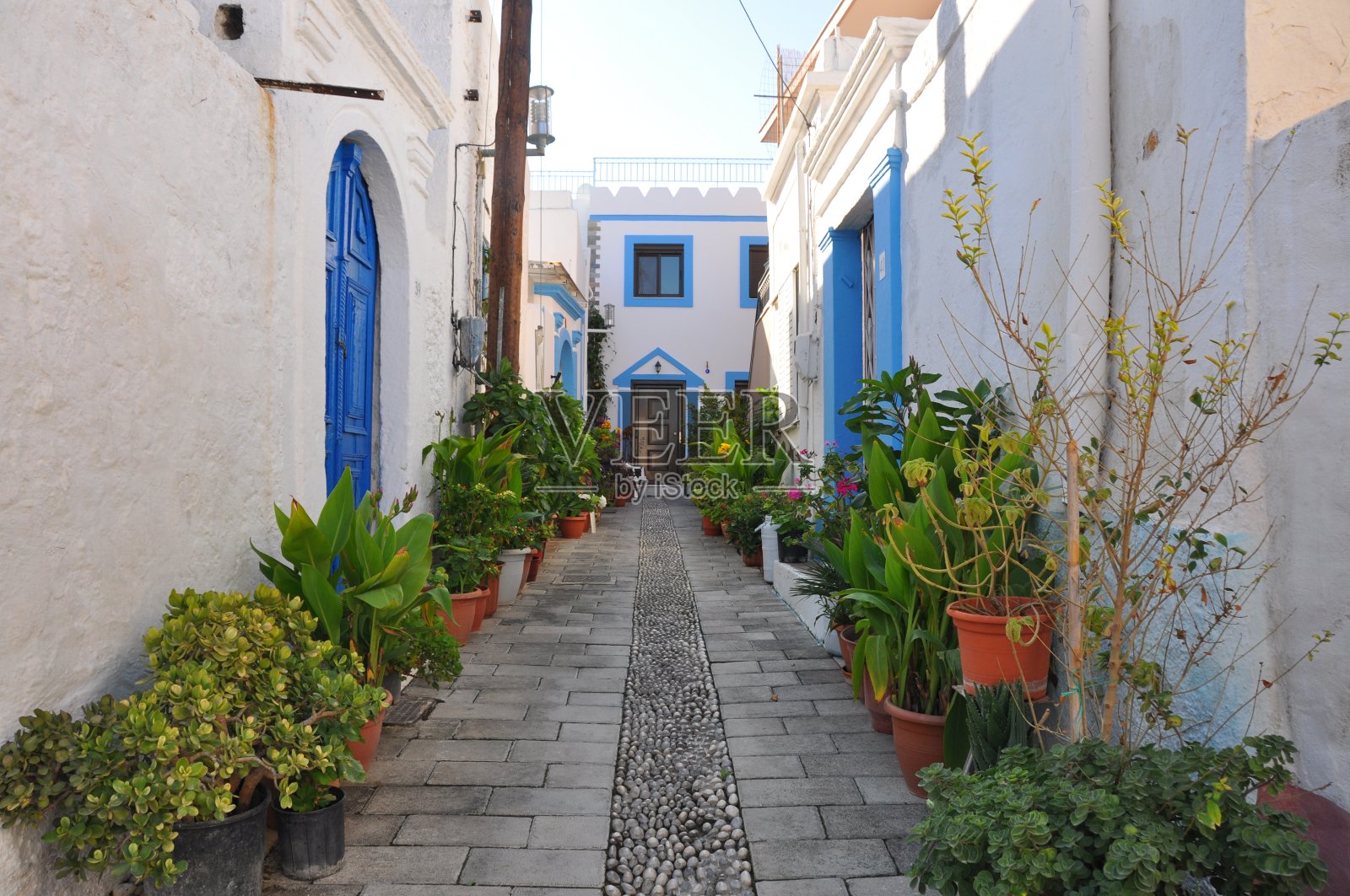 旅行背景:希腊罗德岛的典型的长满植物、蓝色门窗的小巷照片摄影图片