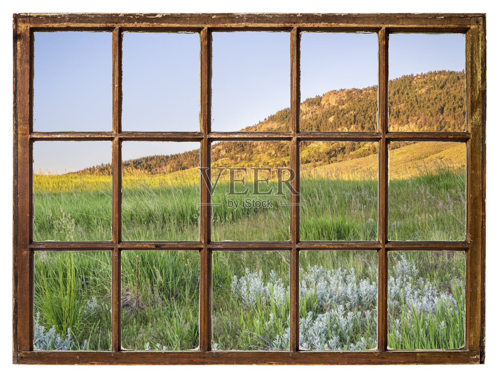 草地在科罗拉多山麓-窗口视图照片摄影图片