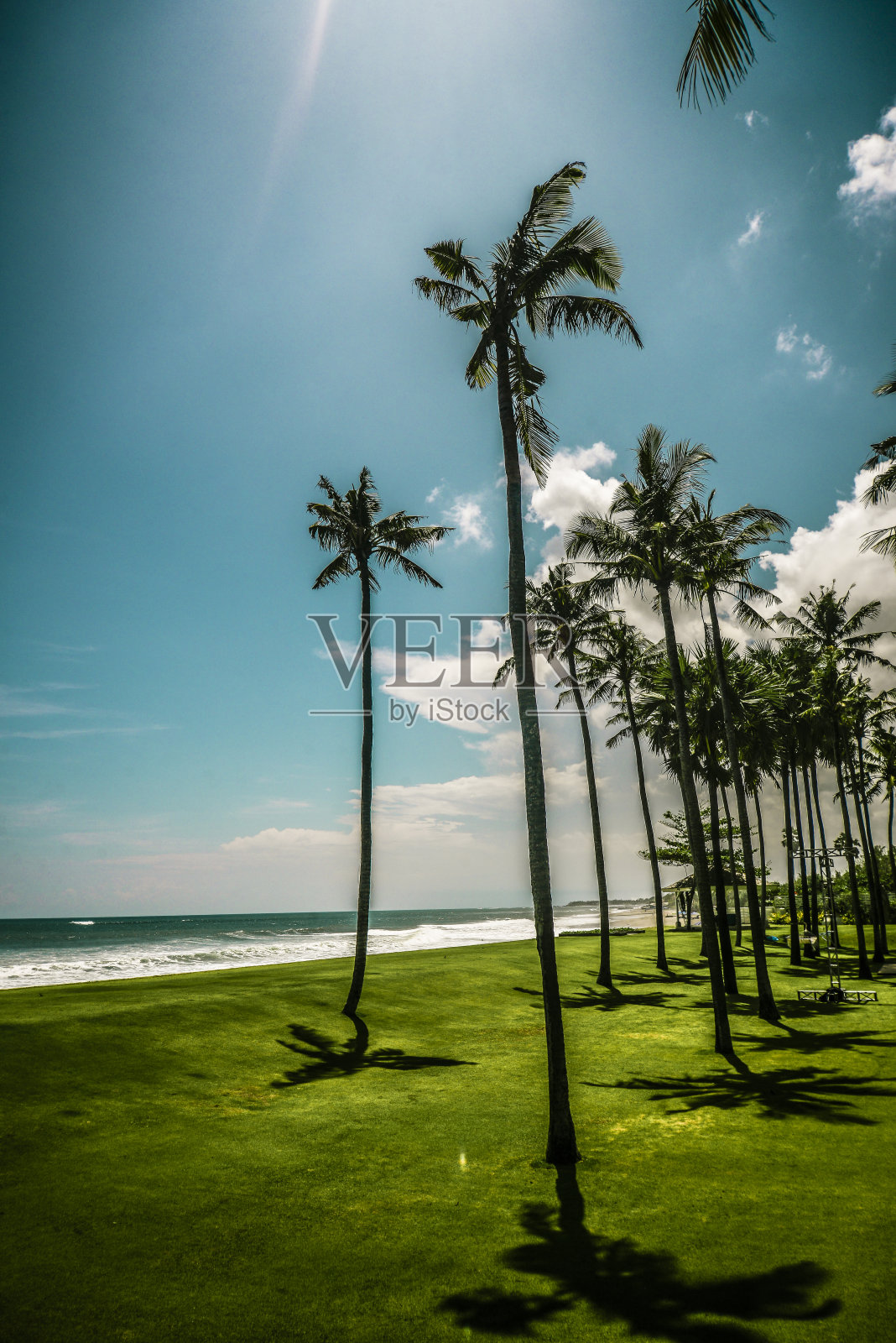 宁静的印度尼西亚海滩，棕榈树在阳光下烘烤照片摄影图片