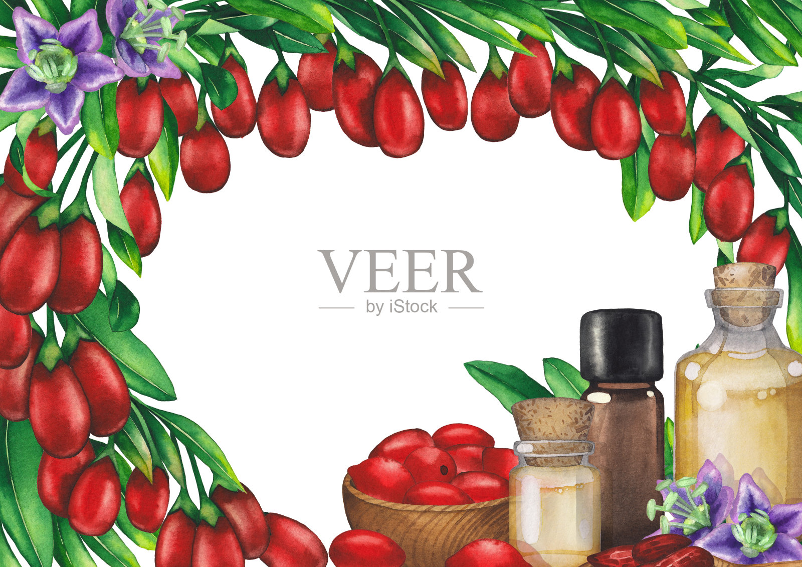 水彩精油瓶装饰枸杞浆果，树叶和花。插画图片素材