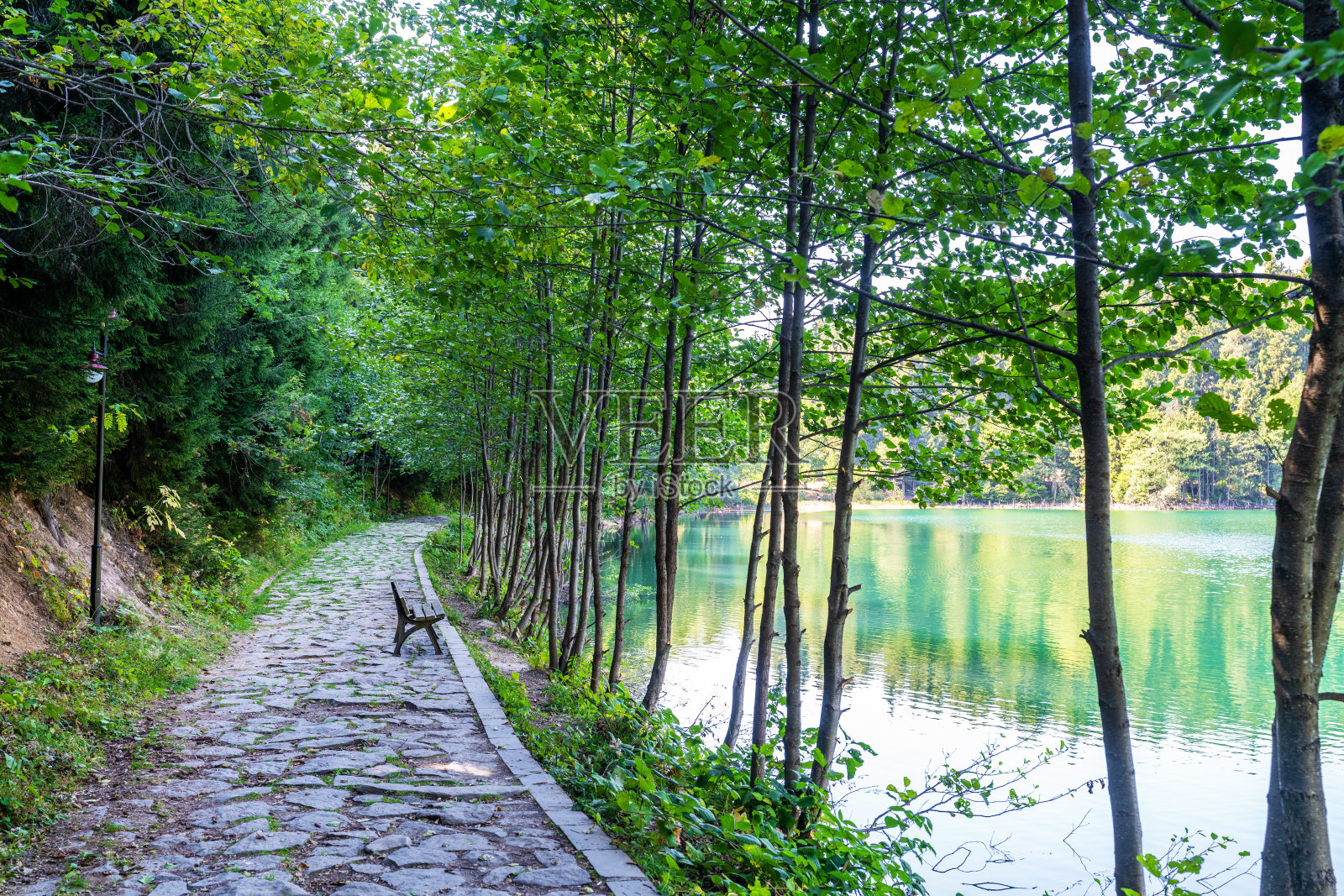 一条美丽的散步小路，鹅卵石小径紧挨着宁静的湖岸和森林。照片摄影图片