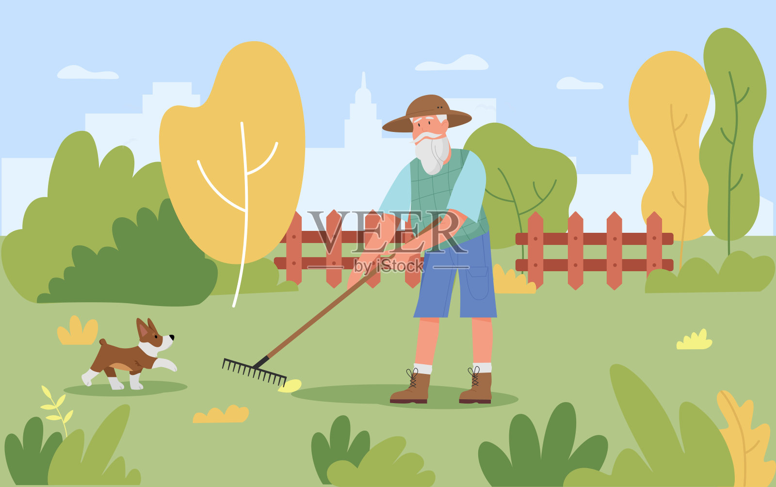 园林秋季工作时，卡通老园丁用园艺工具耙清除树叶插画图片素材
