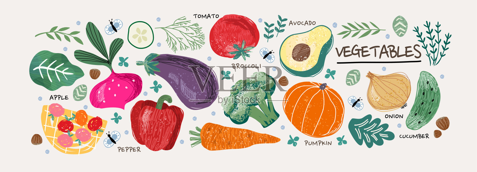 蔬菜。载体食品插图:番茄、甜菜、月桂叶、辣椒、茄子、黄瓜、花椰菜、胡萝卜、南瓜、鳄梨、洋葱、迷迭香插画图片素材