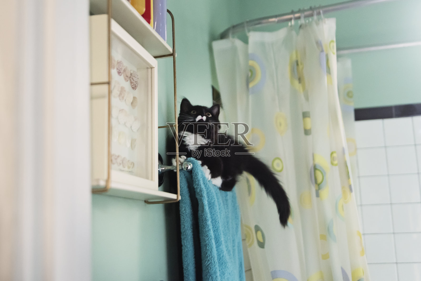 3个月非常活跃的小猫在浴室爬。照片摄影图片