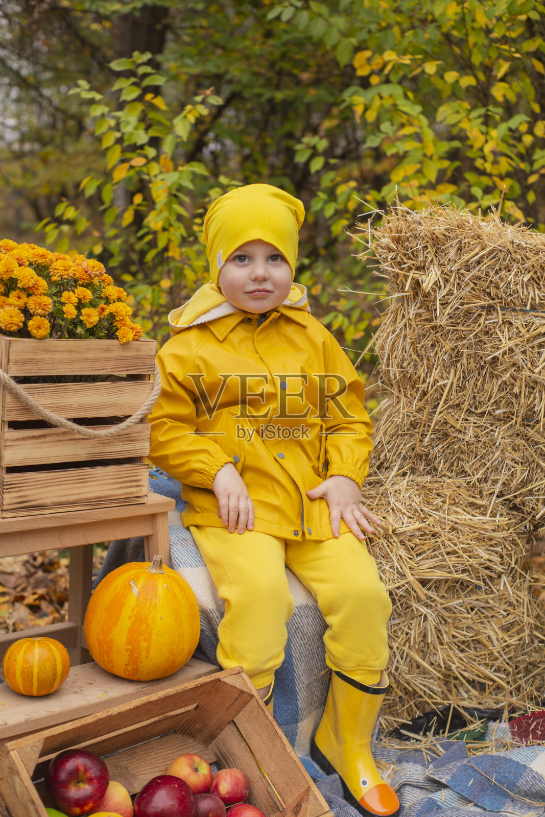 可爱漂亮的学龄前男孩穿着橙色的裤子，雨衣，帽子，橡胶靴子附近的照片区秋天的装饰品-南瓜，苹果，毯子，干草。舒适照片摄影图片