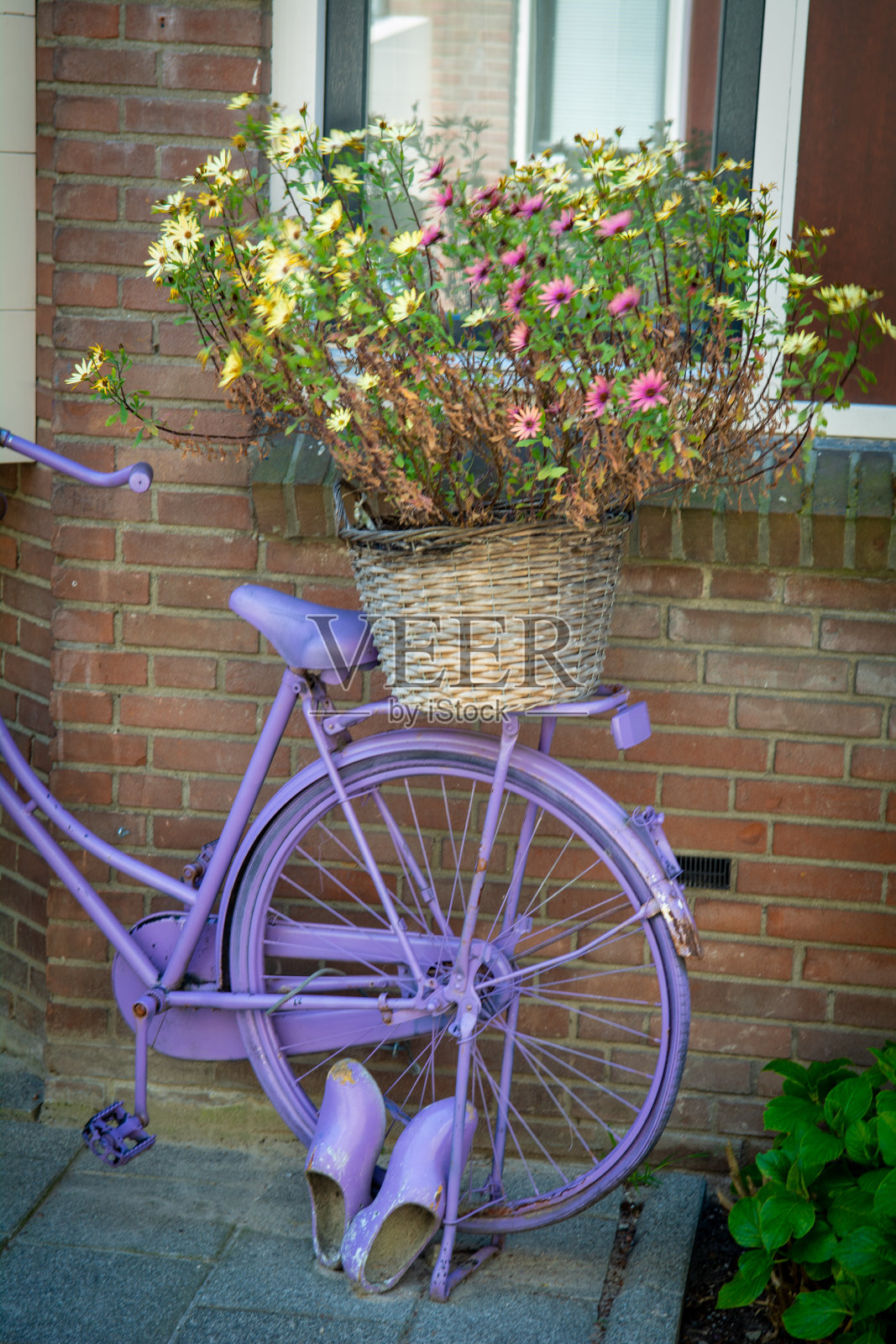 花篮紫色自行车装饰照片摄影图片