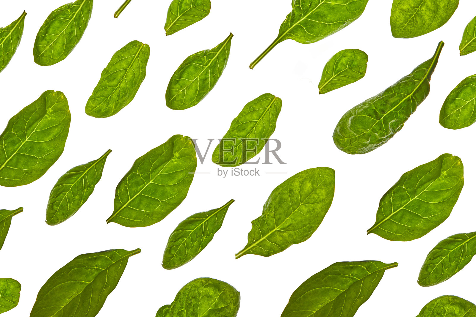 水平模式从菠菜绿色的天然有机叶子在白色的背景。照片摄影图片