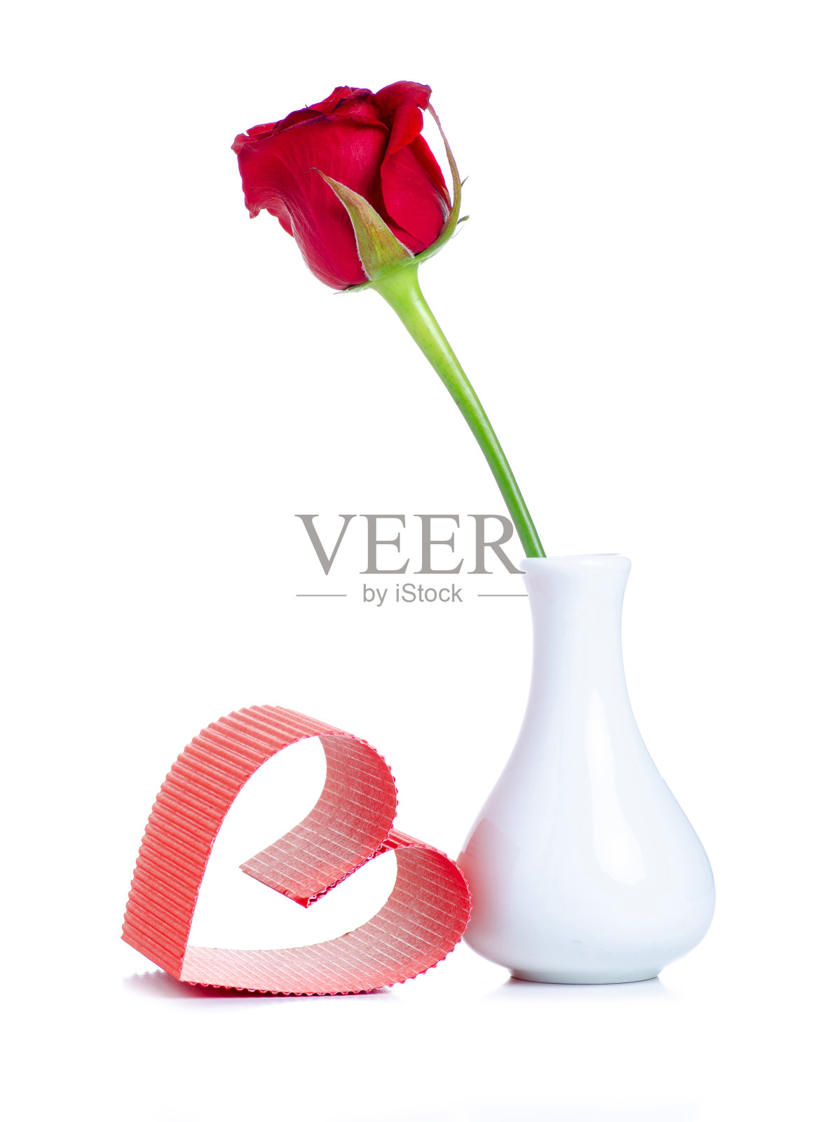白色花瓶，一个红玫瑰和纸板心照片摄影图片