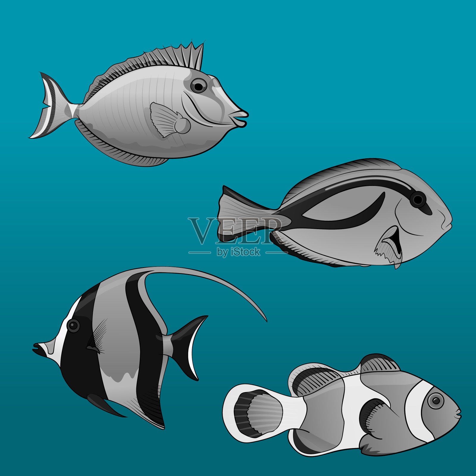 热带鱼集小丑汤插画图片素材