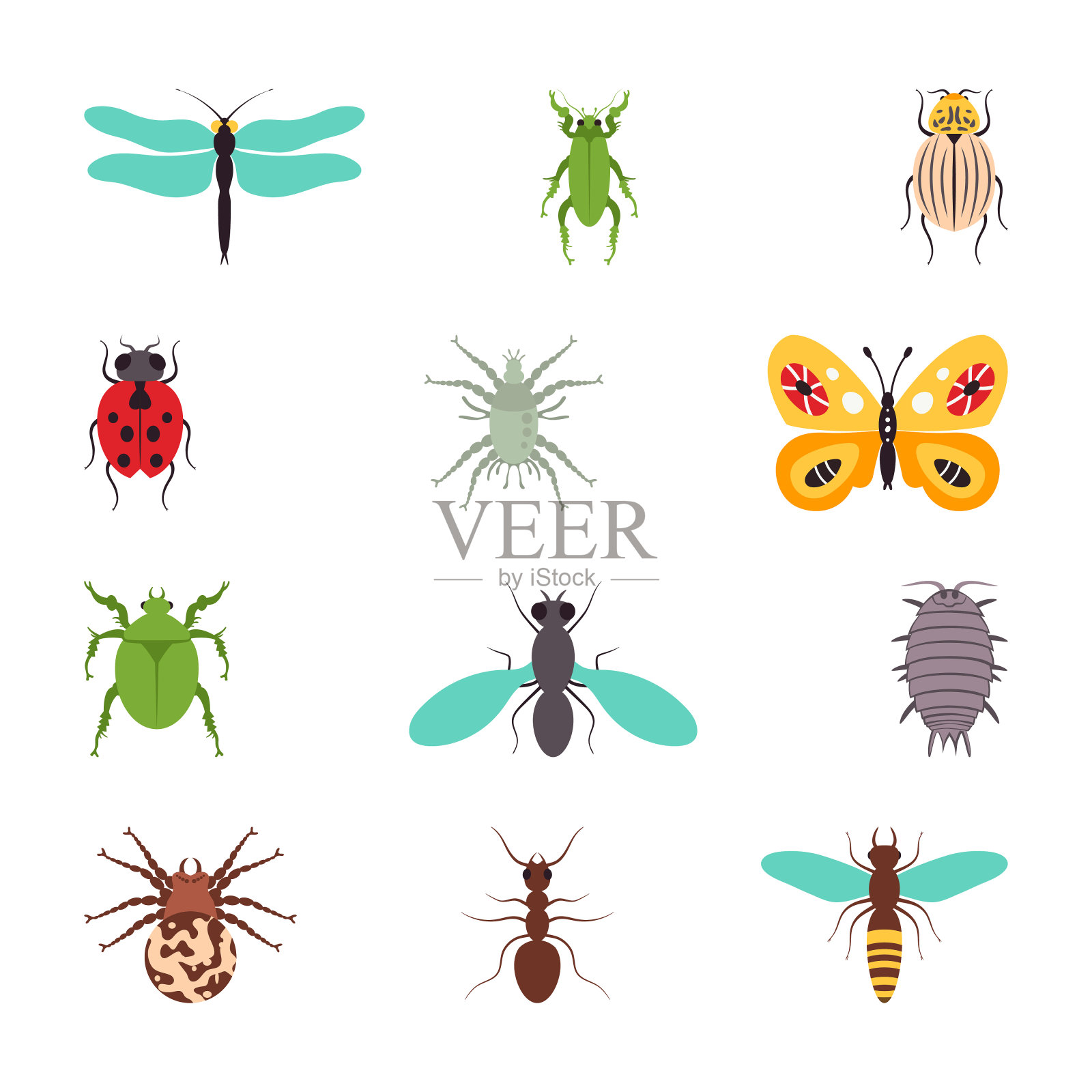 昆虫图标平面设置孤立的矢量插图插画图片素材
