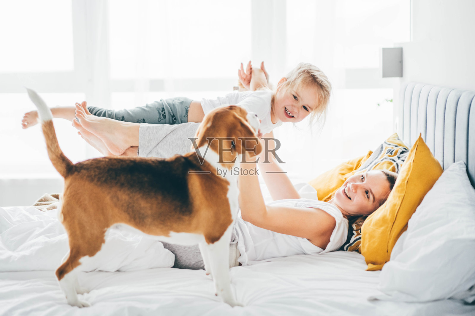 快乐的母亲和女儿与狗有乐趣和一起玩在床上在家里。照片摄影图片
