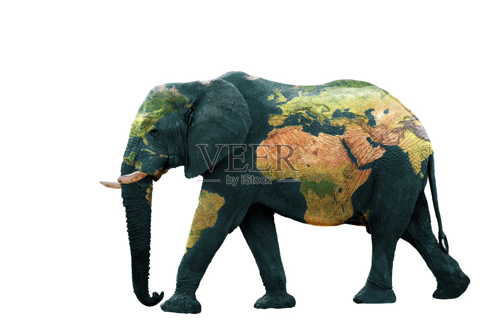 孤立的形象的大象与土地的皮肤上画。照片摄影图片