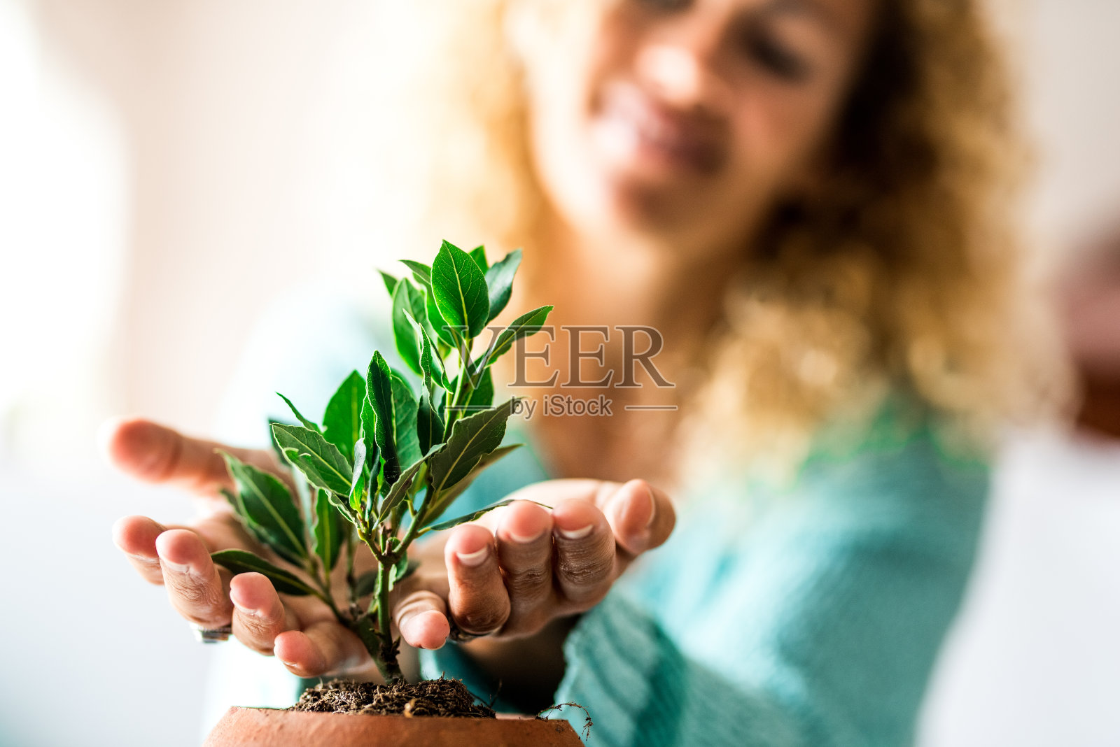 特写和肖像的女人照顾小植物里面他的家-植物成长照片摄影图片