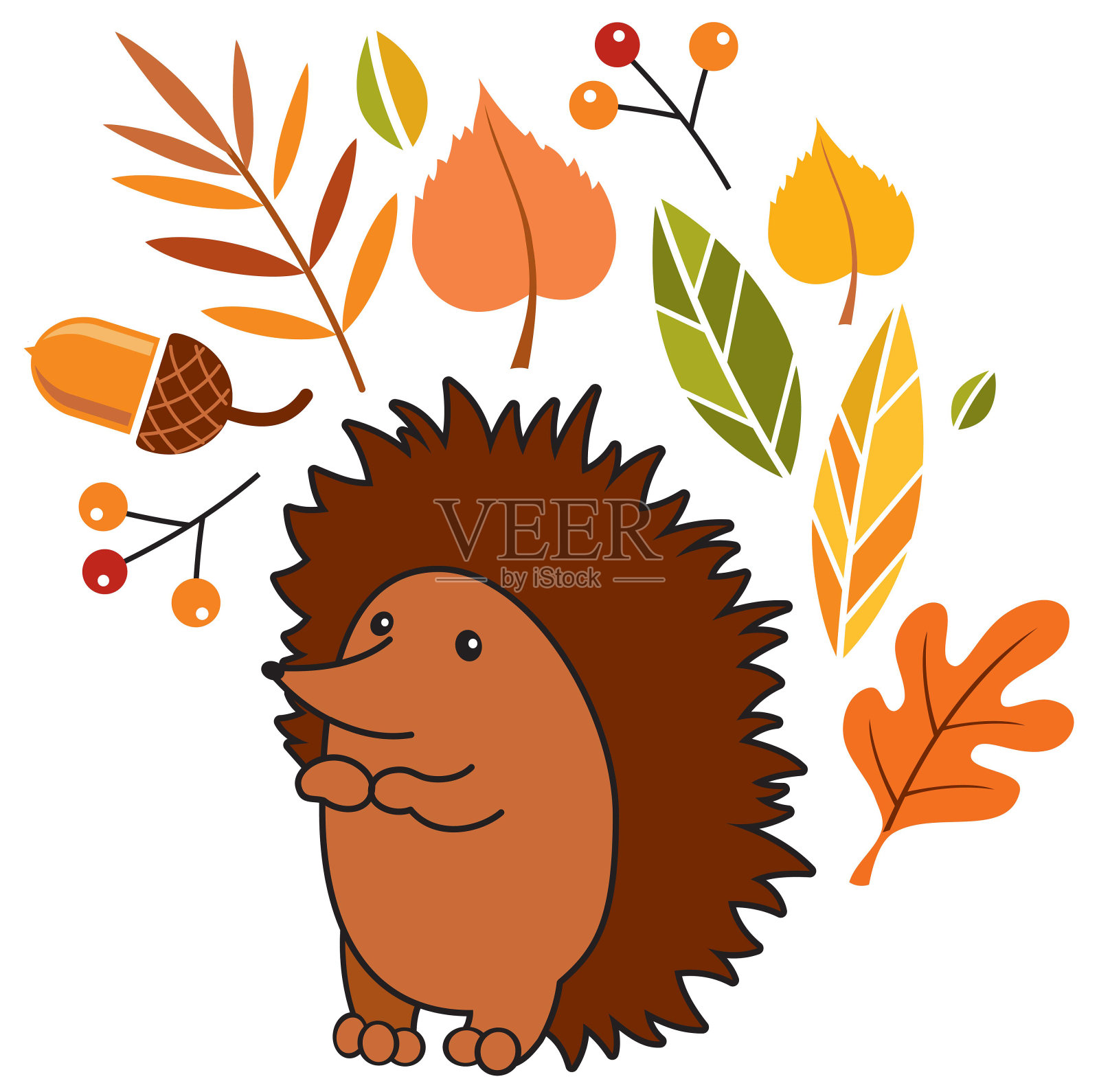 五颜六色的刺猬，落叶，浆果。秋天的主题。儿童卡通插图，海报，卡片，封面插画图片素材