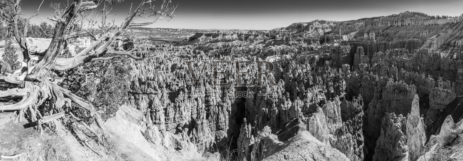 布莱斯峡谷黑白全景在美国犹他州hoodoo照片摄影图片