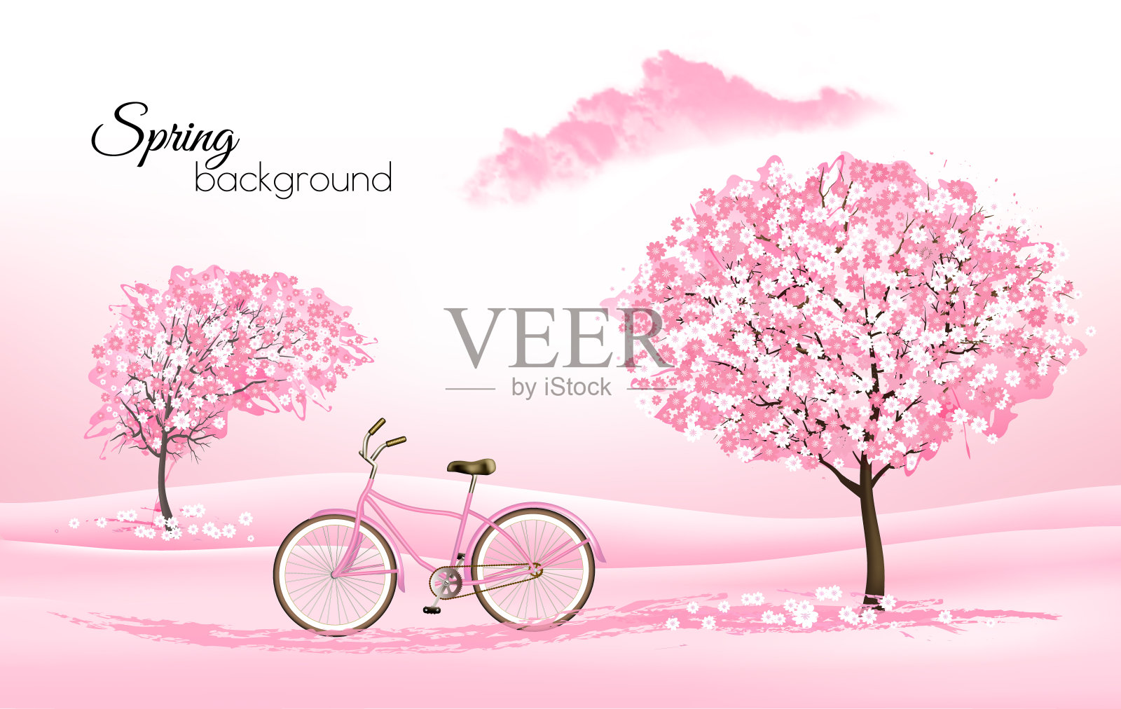 春天的自然背景与盛开的樱花树和粉红色的自行车。向量。插画图片素材