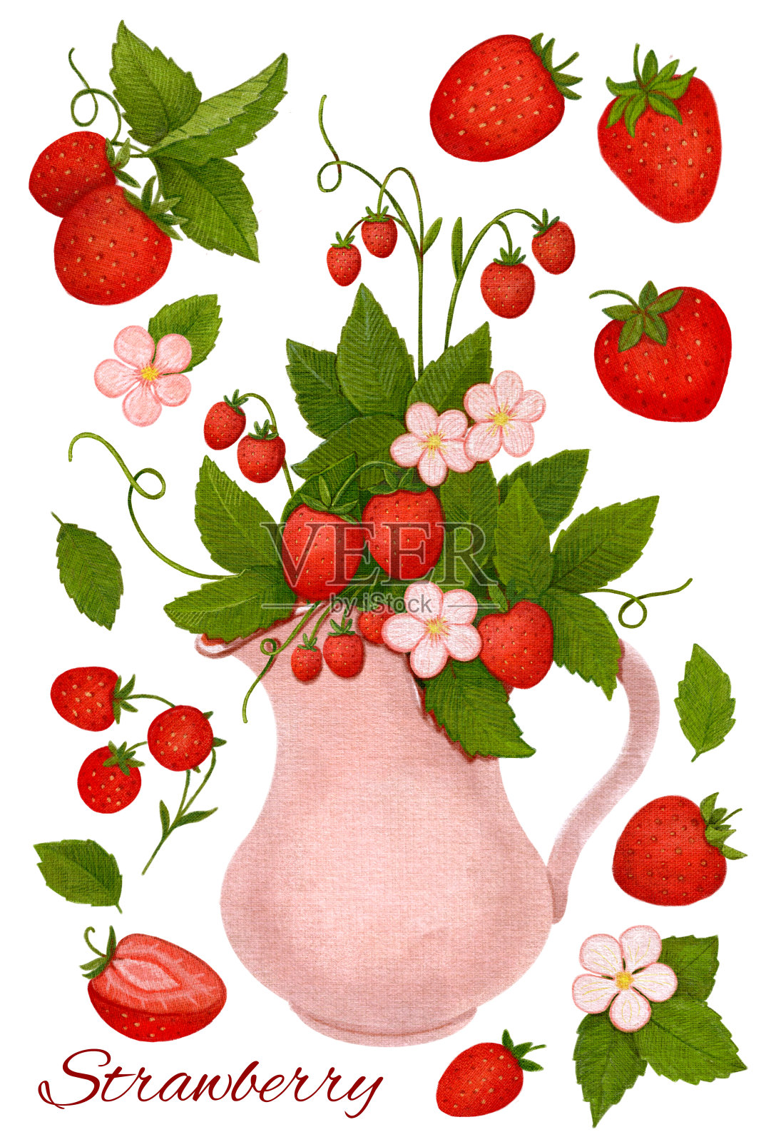 装上草莓、浆果、花、叶。手绘蜡笔插画。可爱的夏季图片包装，菜单卡，海报，印刷品。孤立的白色背景。插画图片素材