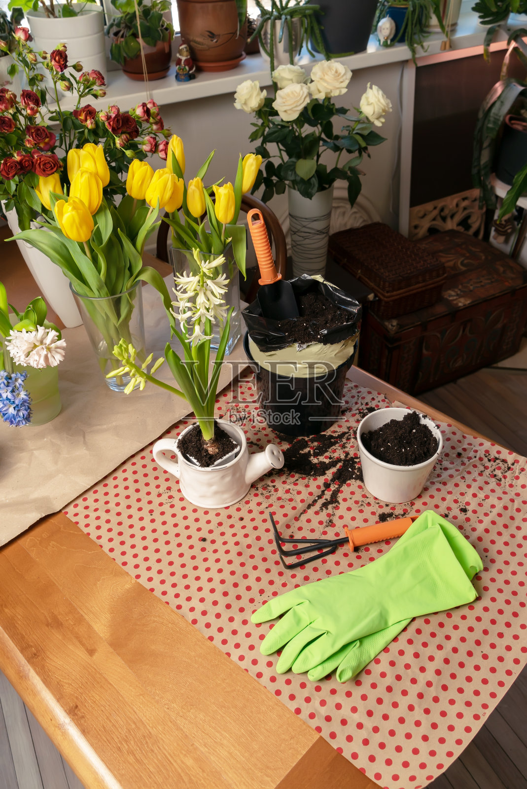 有花盆，工具和设备的花园移植植物在室内的桌子上。照片摄影图片
