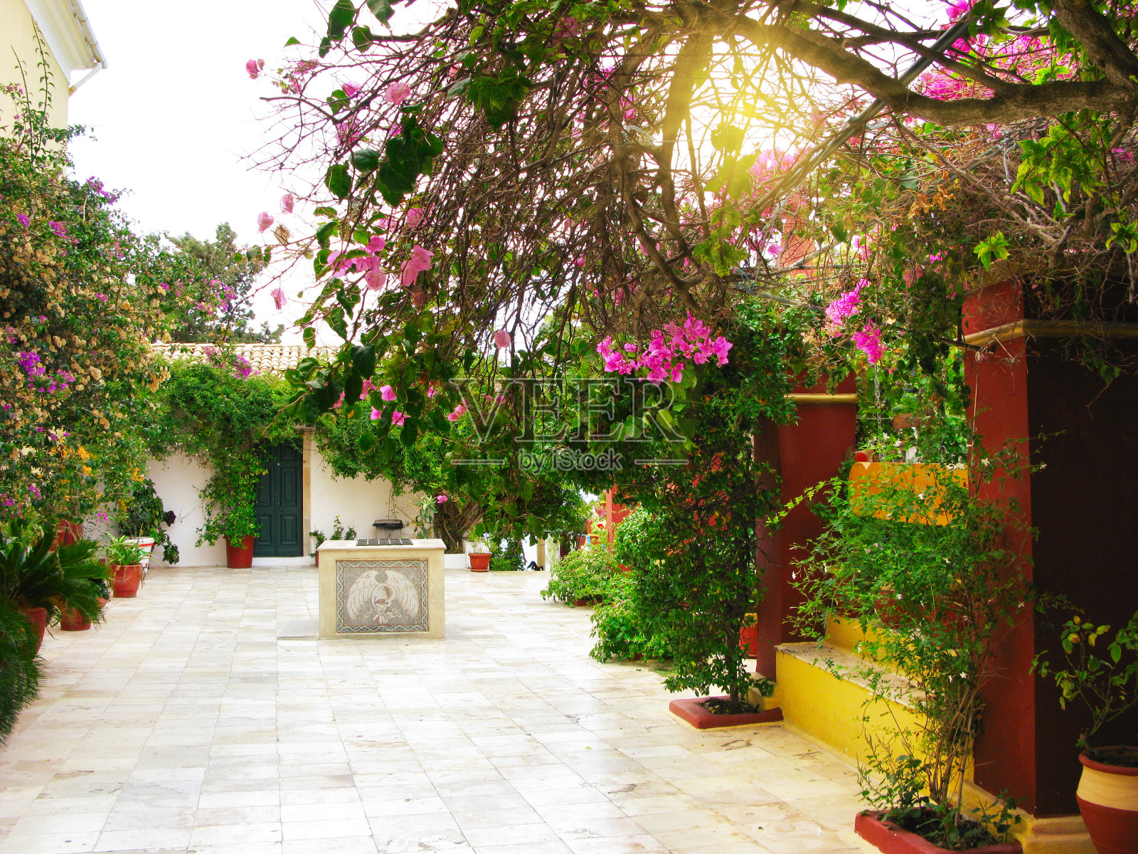 希腊的传统露台和开花灌木建筑细节照片摄影图片