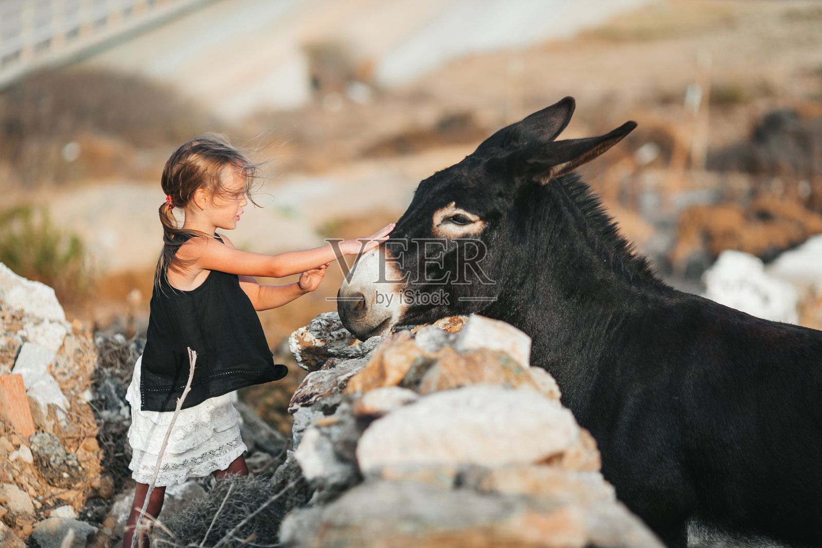 米科诺斯岛上的小女孩和驴子照片摄影图片