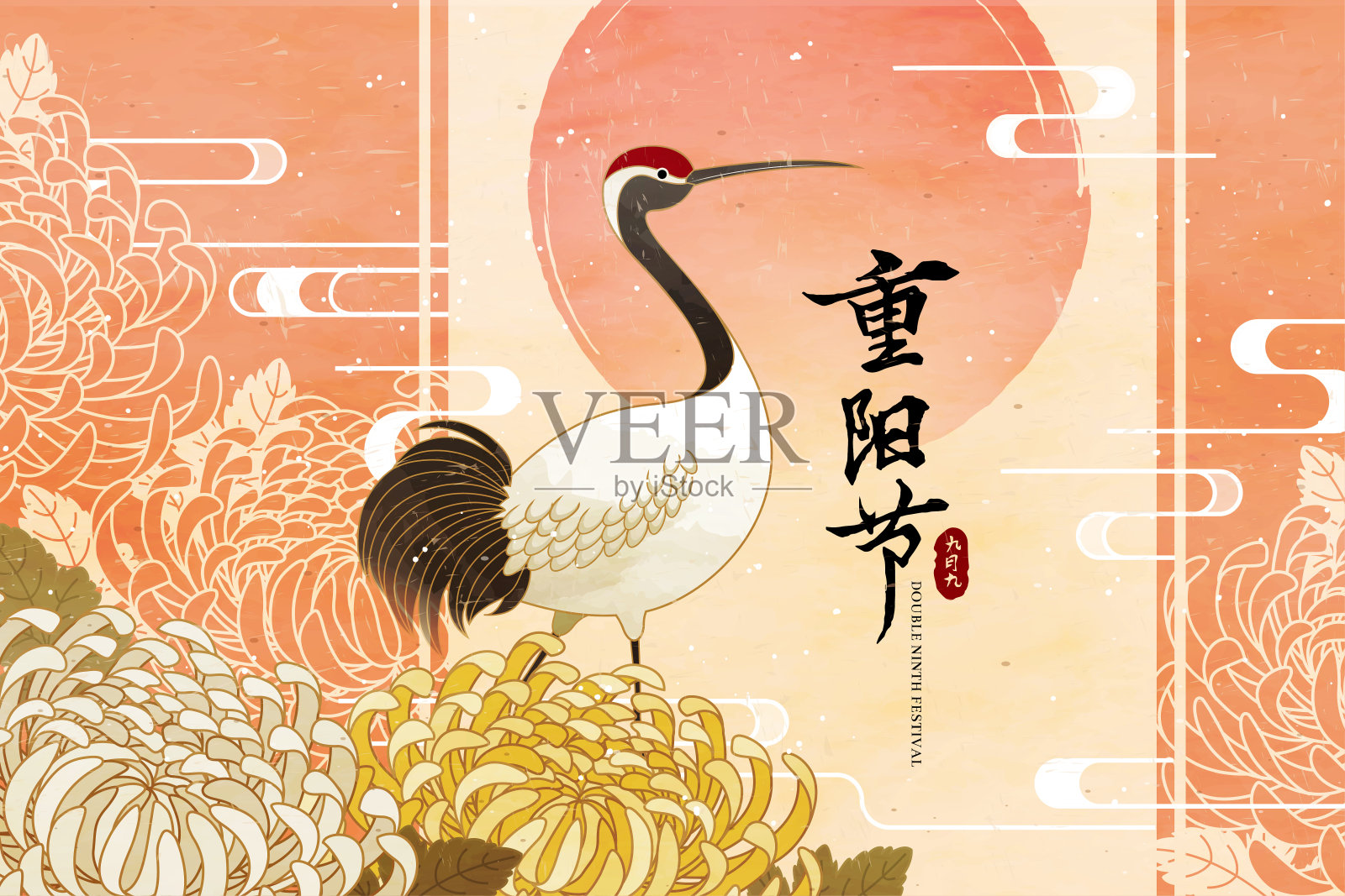 重阳节优雅丹顶鹤与菊花插图插画图片素材