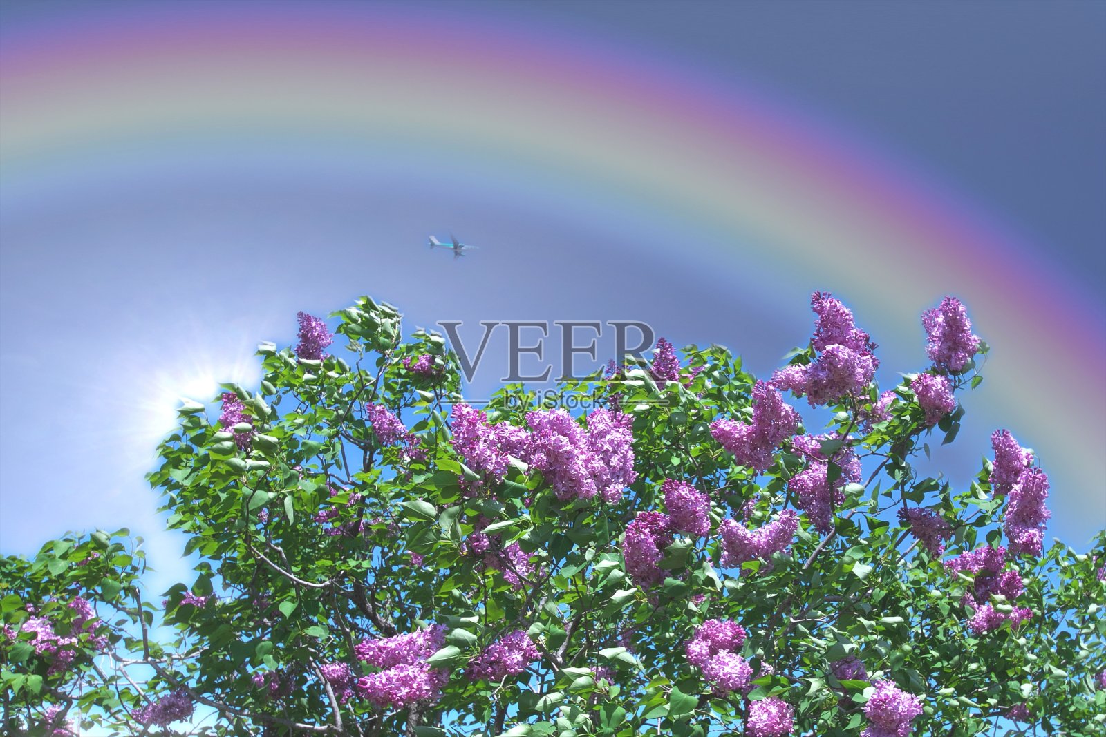 七彩彩虹在七弦琴上照片摄影图片