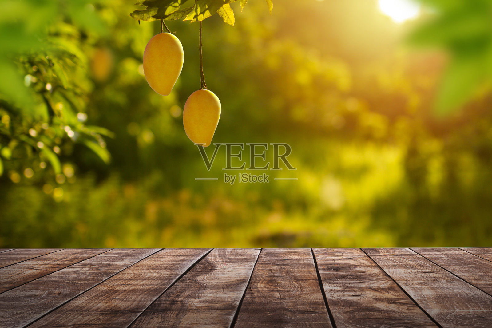 芒果热带水果与桌子在农场背景照片摄影图片
