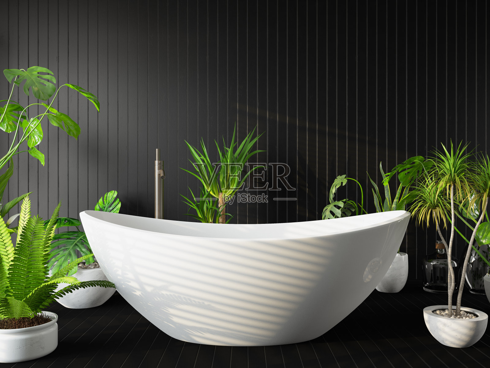 经典水疗浴室与浴缸和植物照片摄影图片