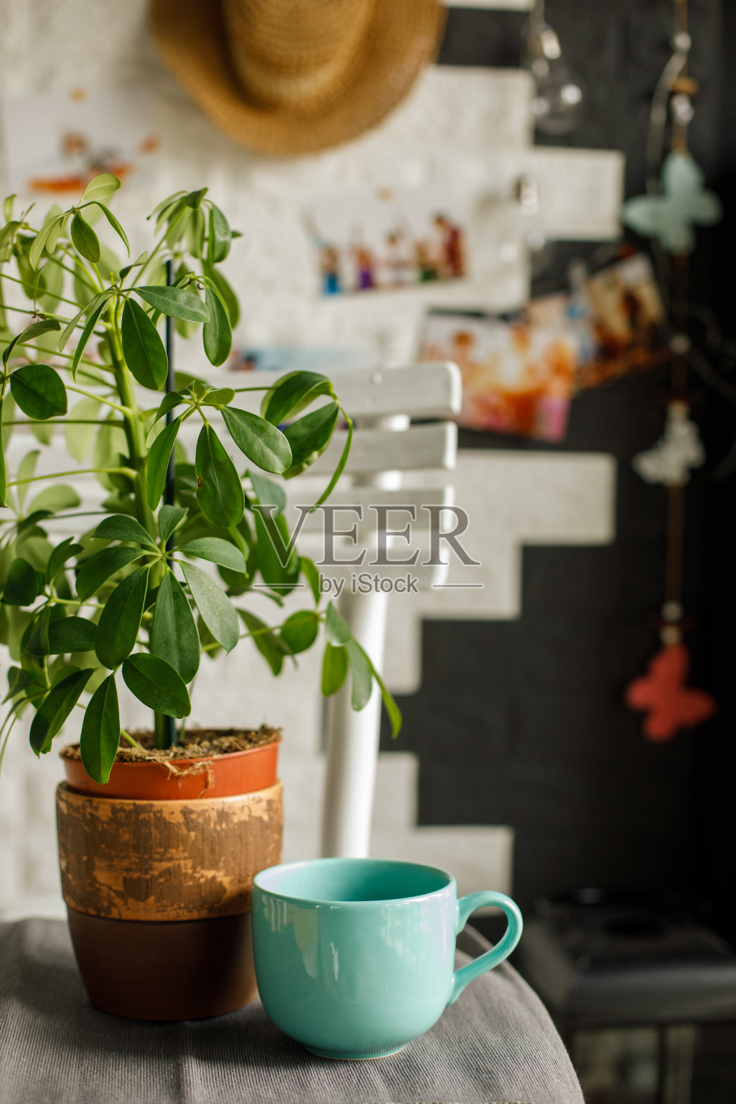 桌上一盆植物旁放着一杯咖啡照片摄影图片