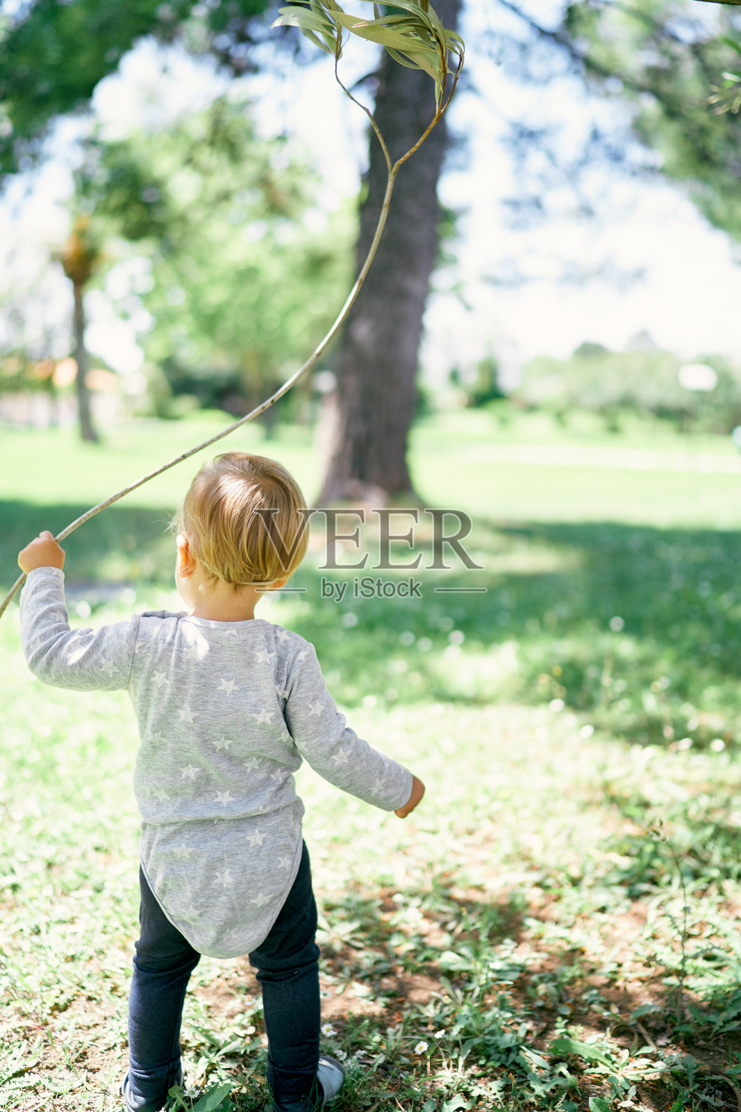 一个手里拿着树枝的孩子站在绿色公园的草坪上照片摄影图片
