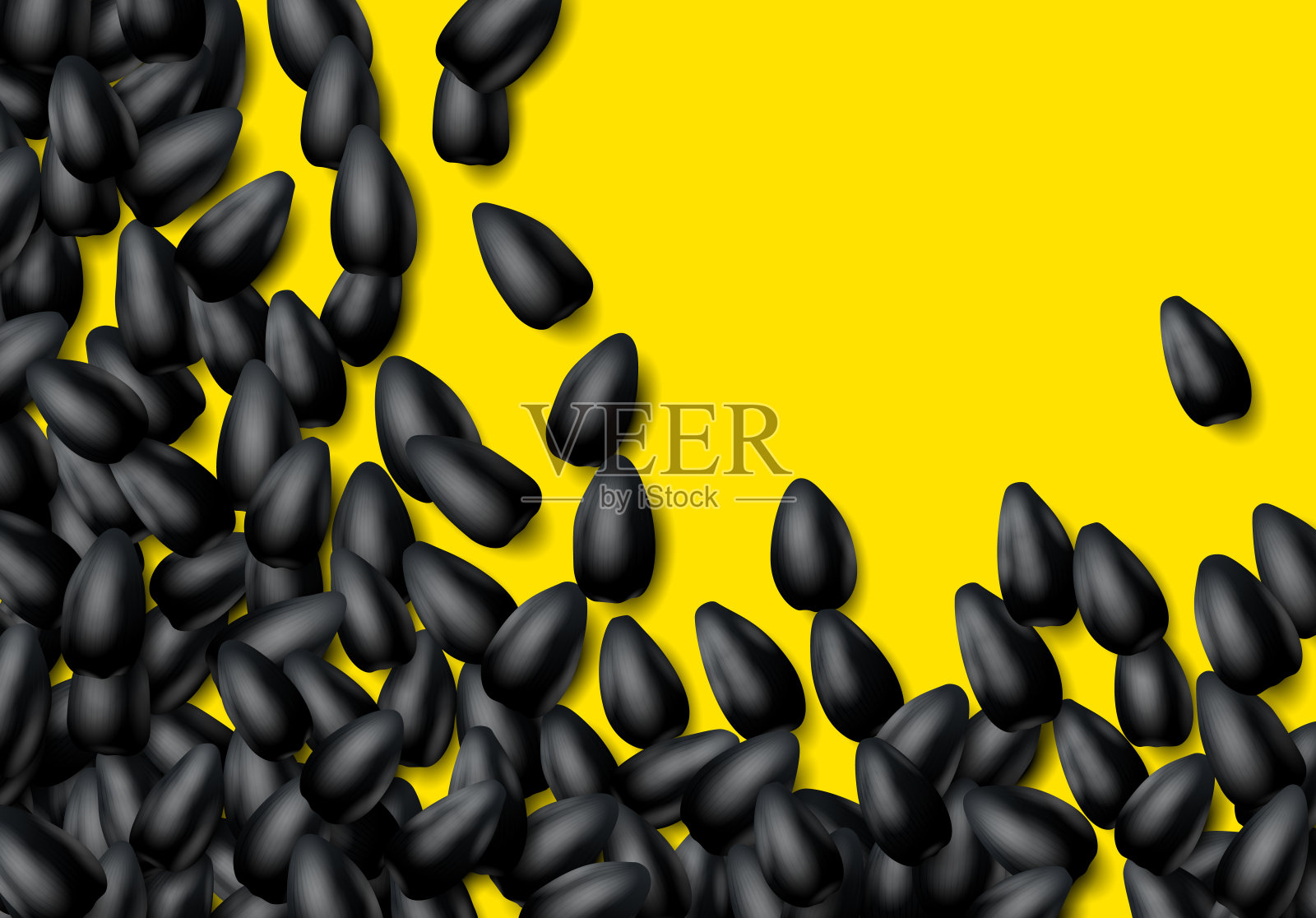 葵花籽背景有一堆黑色谷粒插画图片素材