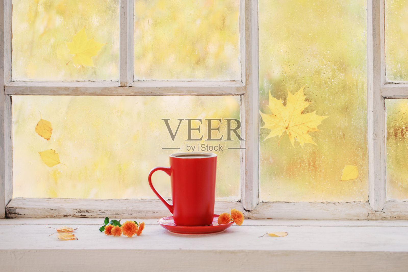 秋日白木窗台上的一杯茶照片摄影图片