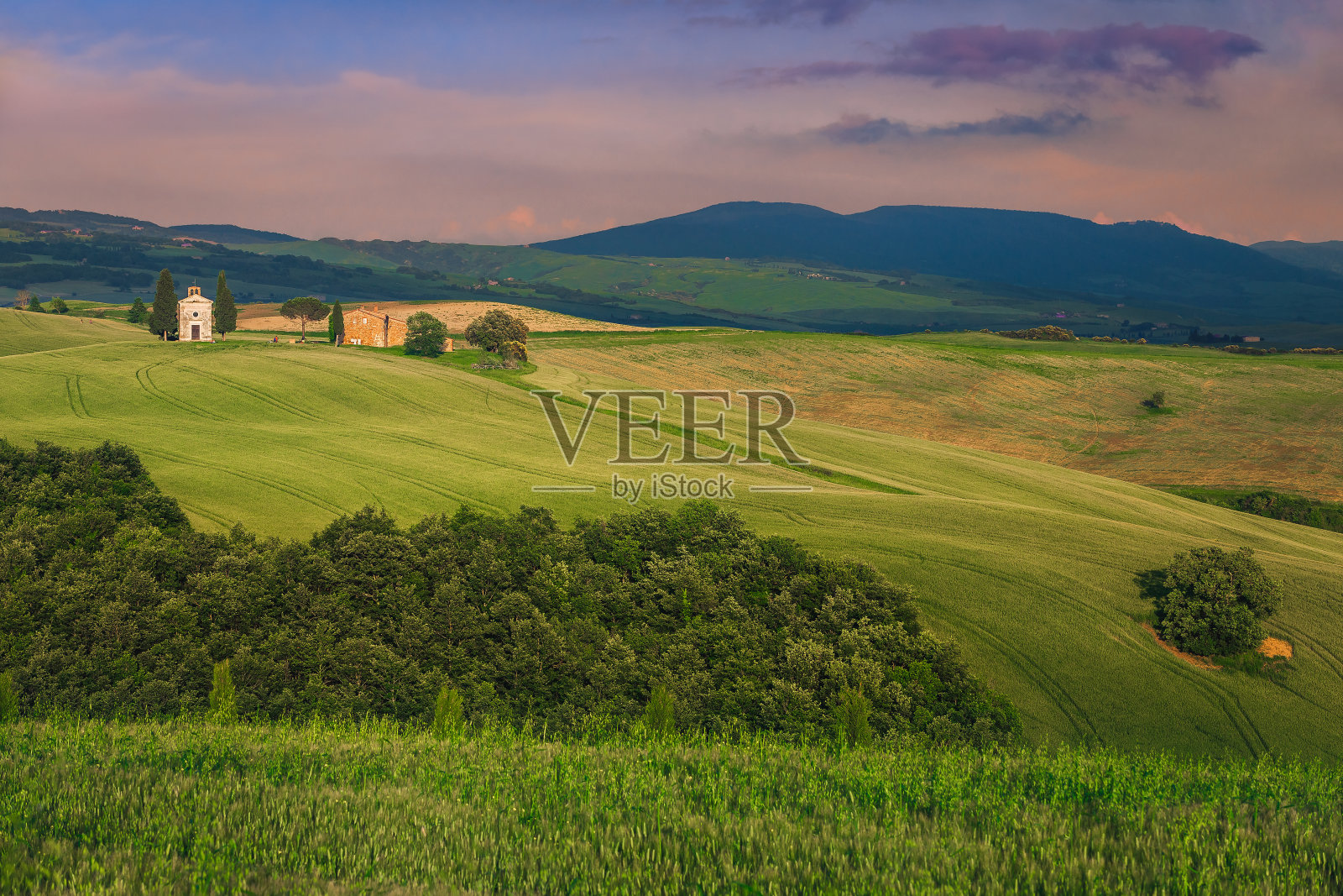 意大利托斯卡纳山上的麦田和维塔莱塔教堂照片摄影图片