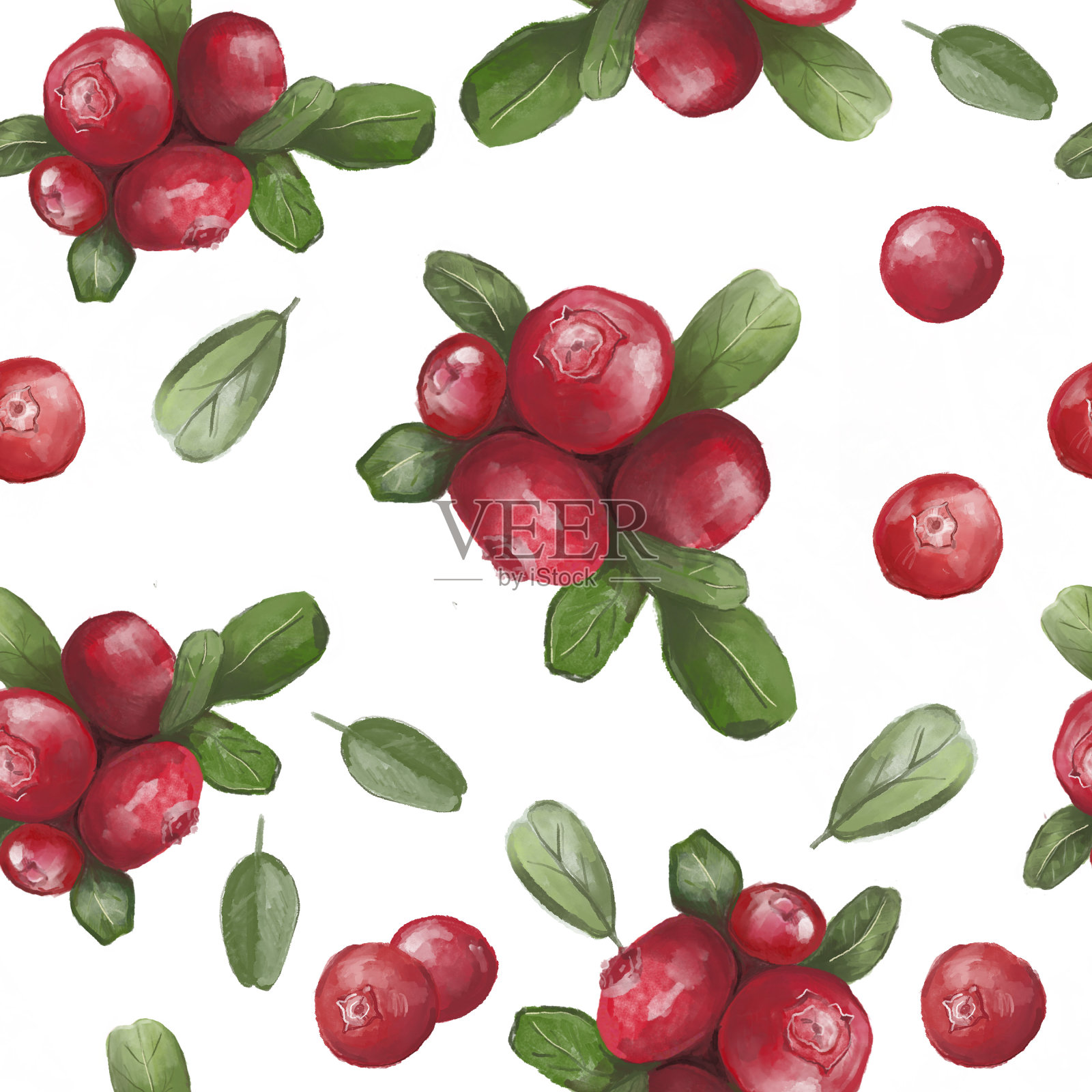 无缝模式сranberry浆果在白色的背景。越橘。数字水彩插图插画图片素材