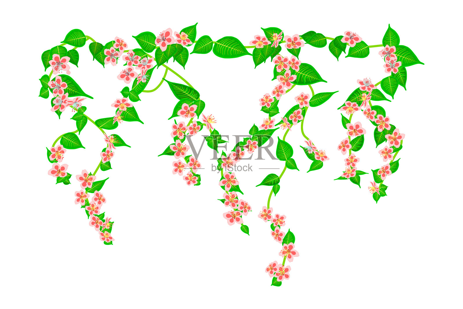 枝上爬满粉红色的玫瑰花瓣插画图片素材