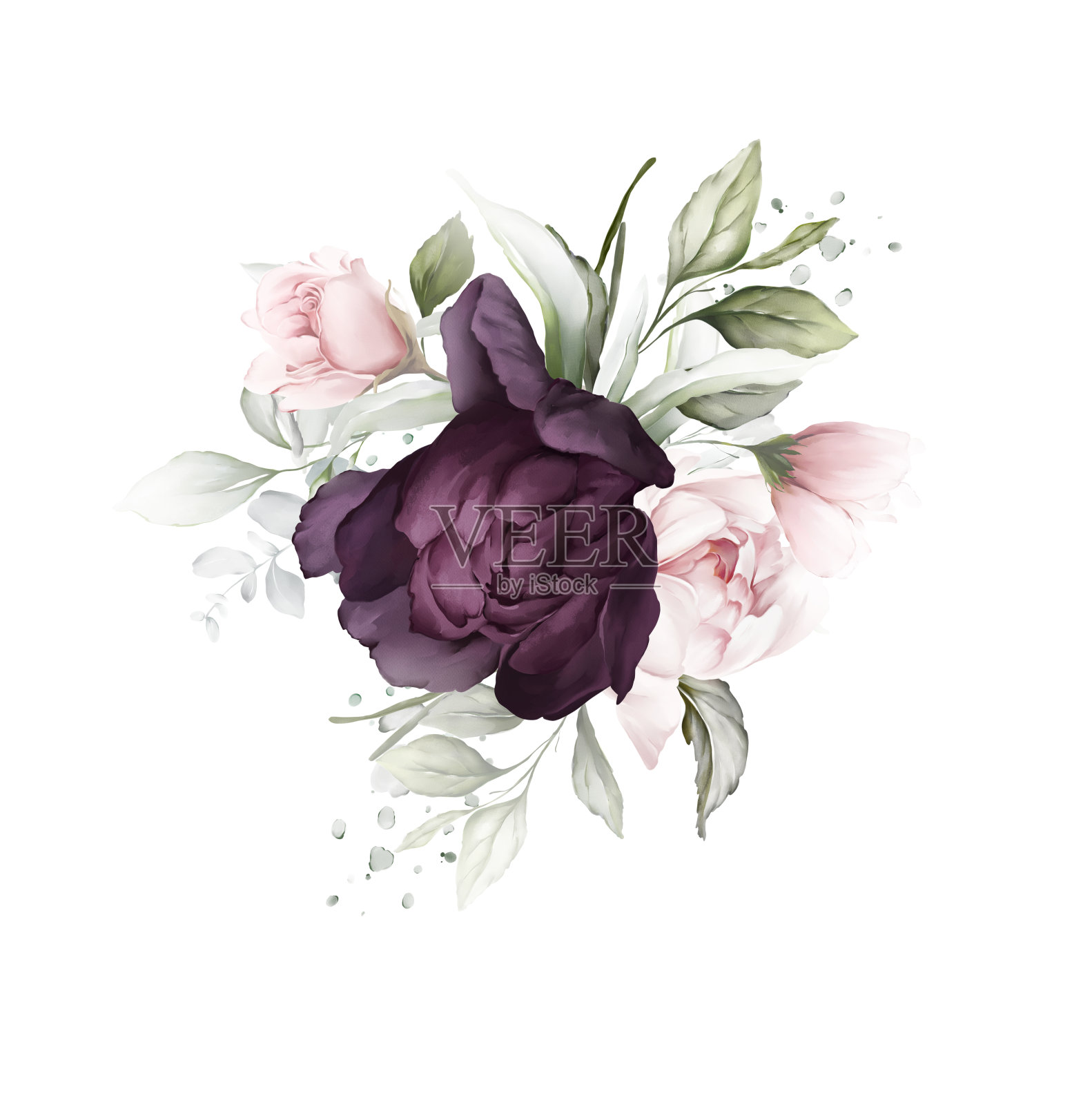 花型构图有紫色的玫瑰和娇嫩的牡丹。水彩风格的贺卡插画图片素材