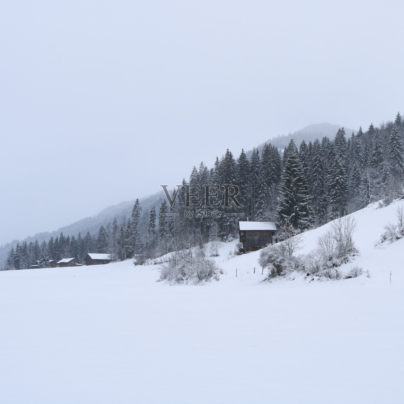 瑞士阿尔卑斯山的草地和森林被雪覆盖。照片摄影图片
