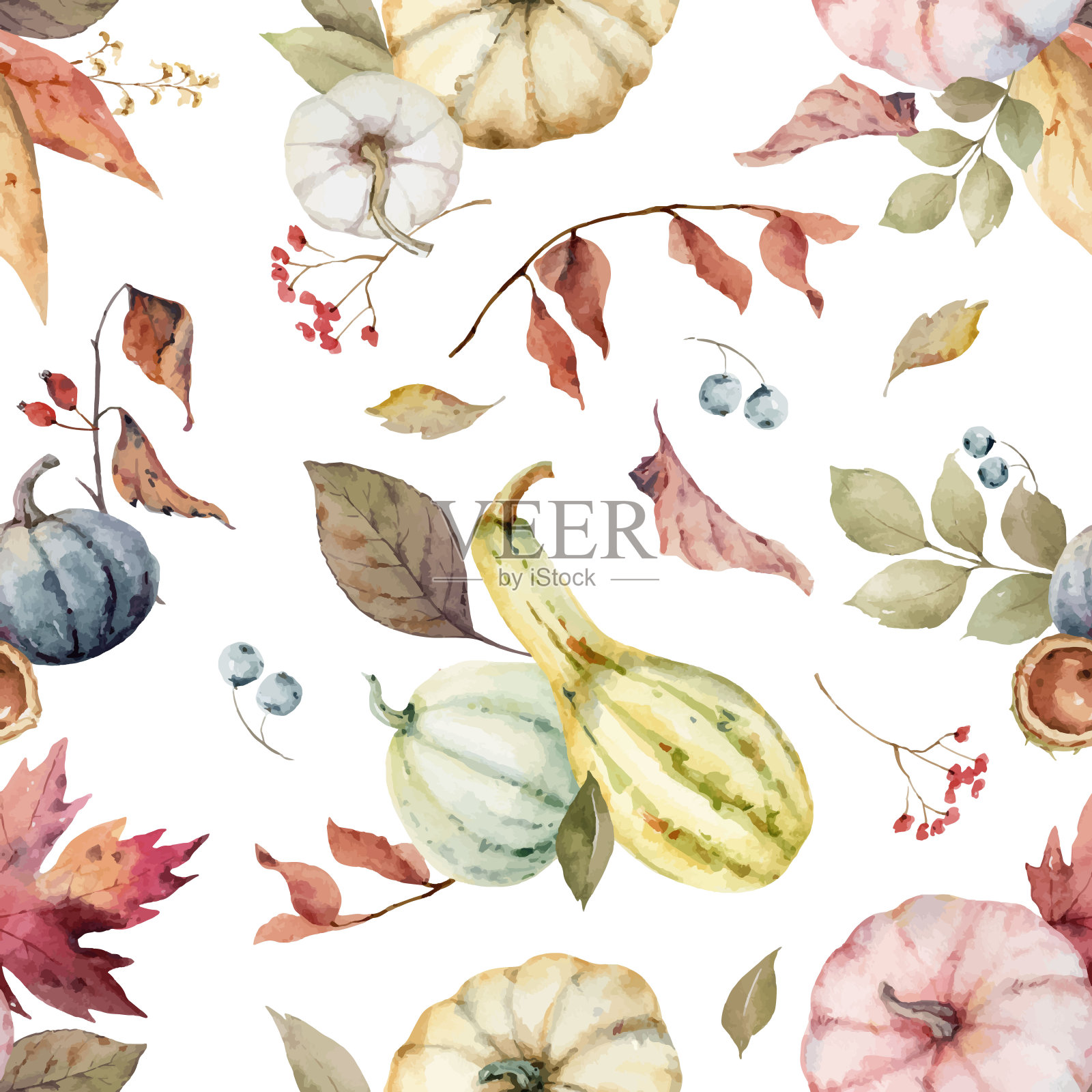 水彩矢量无缝模式与五颜六色的南瓜和叶子。秋天的背景为感恩节隔离在白色的背景上。插画图片素材